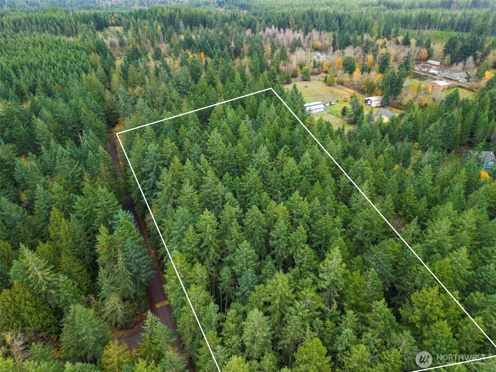 5 Larson Lane Northwest Seabeck, WA 98380 - Photo 11 of 19 a view of a yard with a lush green forest