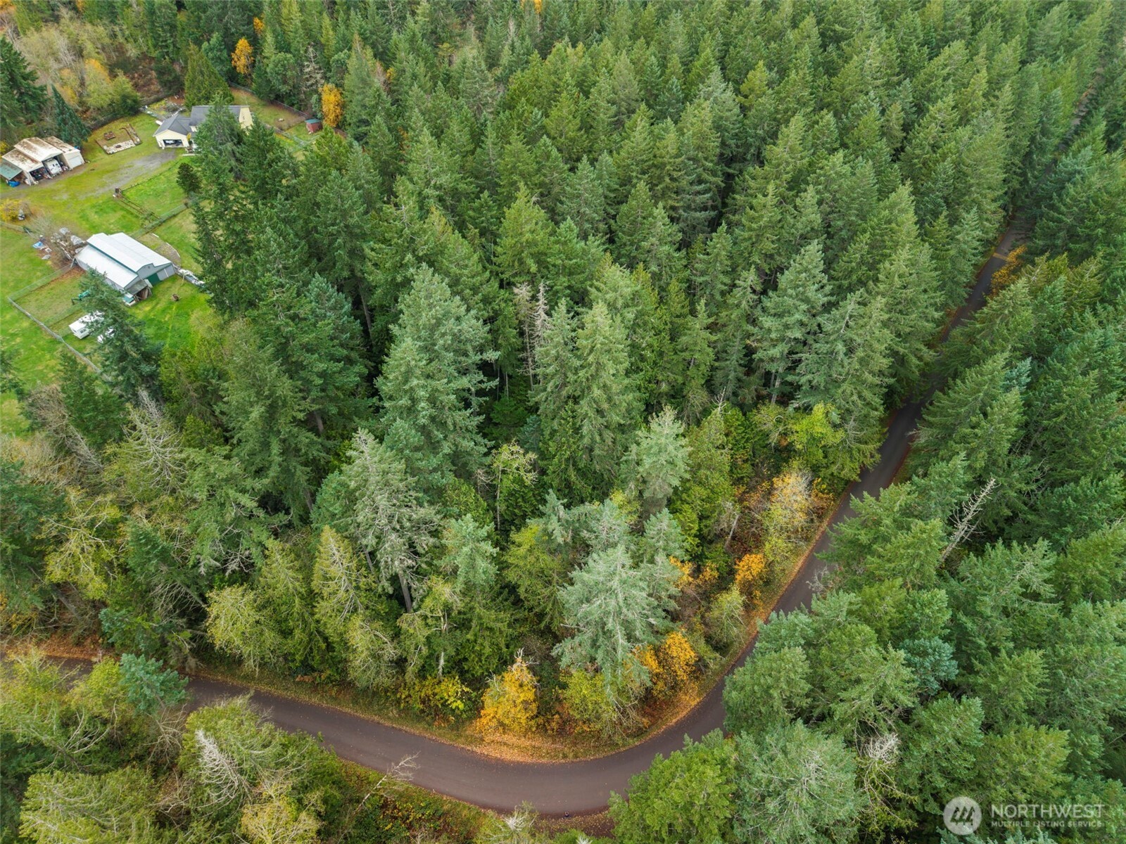 5 Larson Lane Northwest Seabeck, WA 98380 - Photo 12 of 19 a view of a yard
