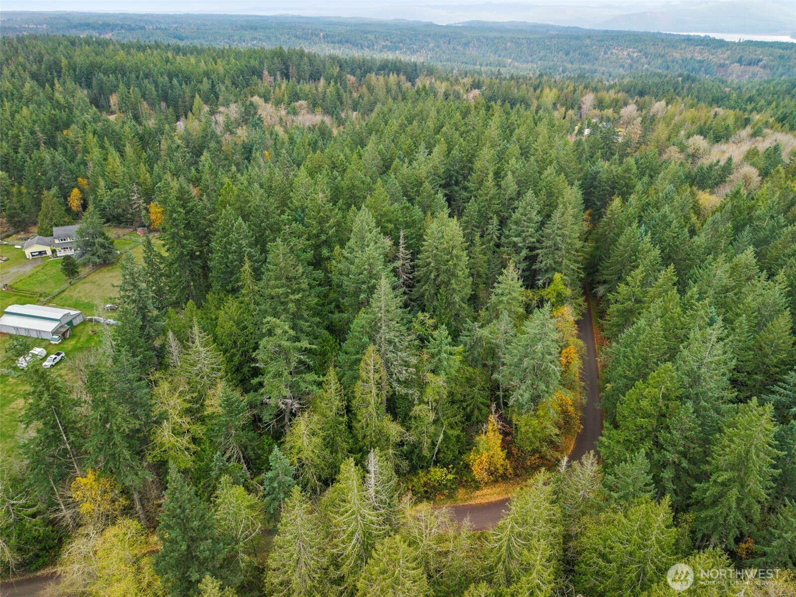 5 Larson Lane Northwest Seabeck, WA 98380 - Photo 14 of 19 a view of a forest with a street
