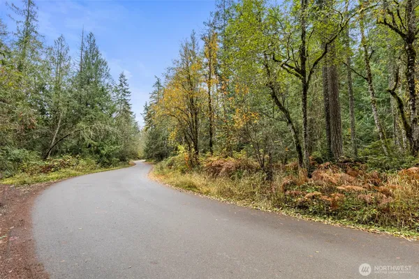 a view of a road with a yard