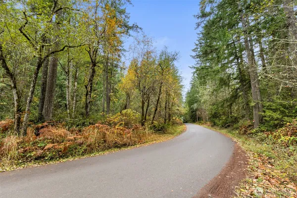 a view of a yard with plants and trees