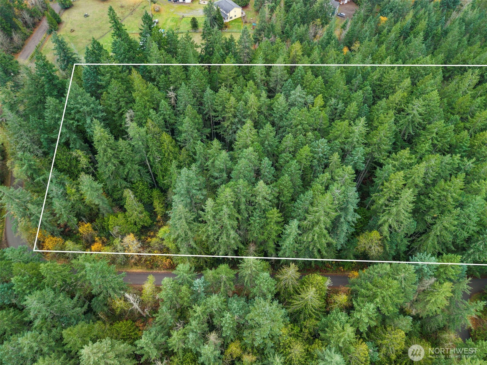 5 Larson Lane Northwest Seabeck, WA 98380 - Photo 9 of 19 a view of a field and a trees