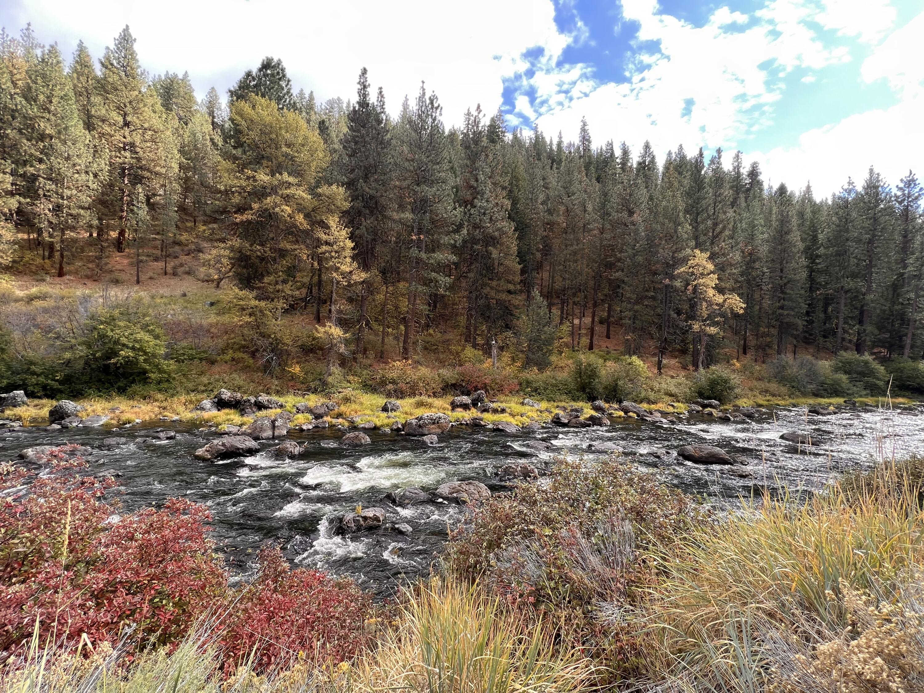 9615 Williamson River Road Chiloquin, OR 97624 - Photo 46 of 60 Near by River