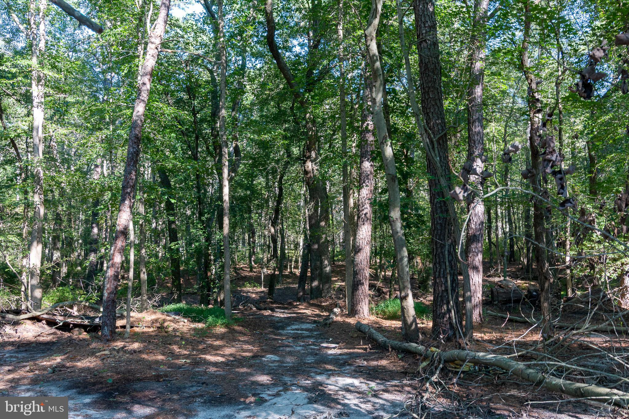 256 Ridge Road Browns Mills, NJ 08015 - Photo 44 of 51