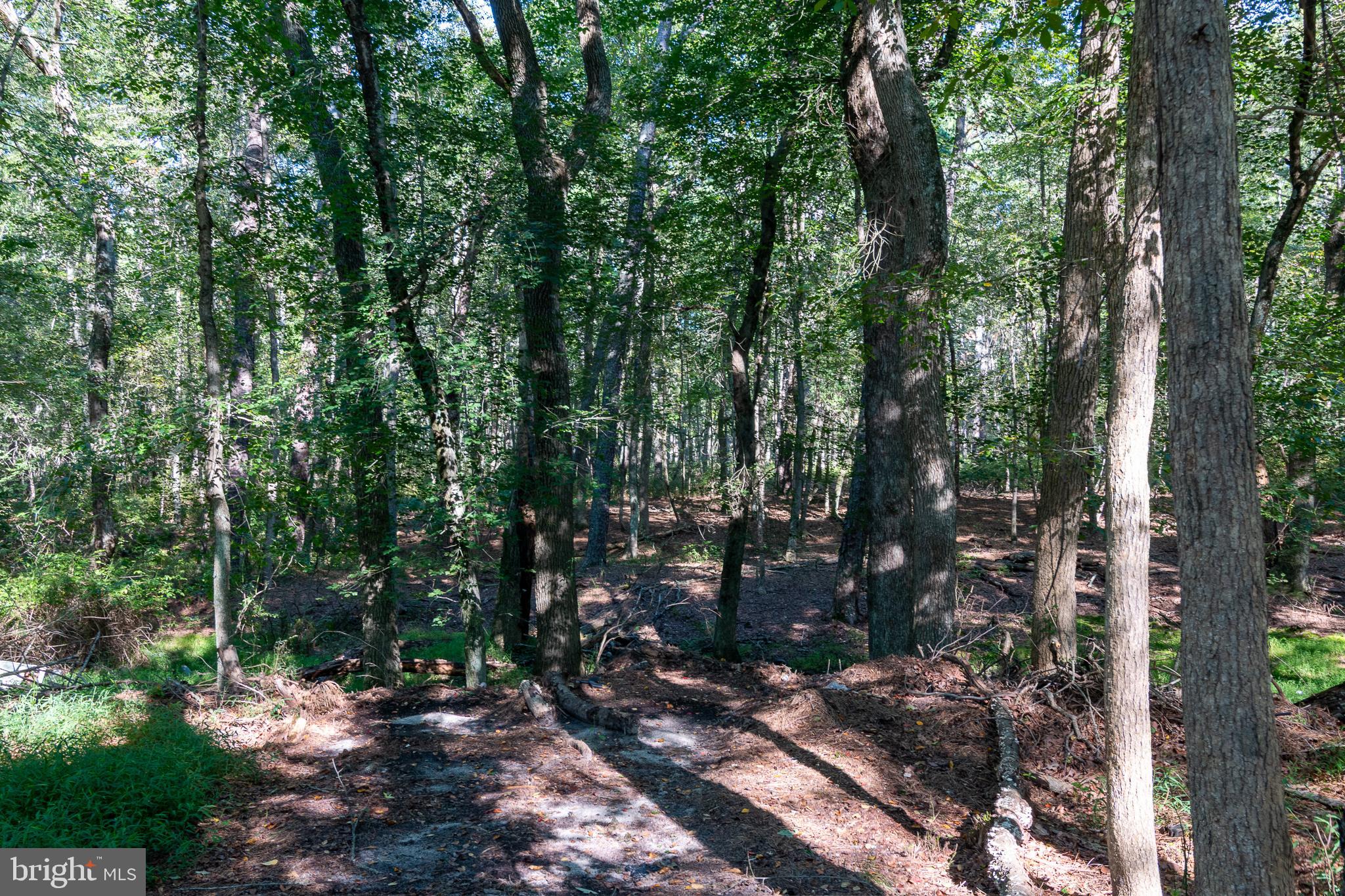 256 Ridge Road Browns Mills, NJ 08015 - Photo 45 of 51