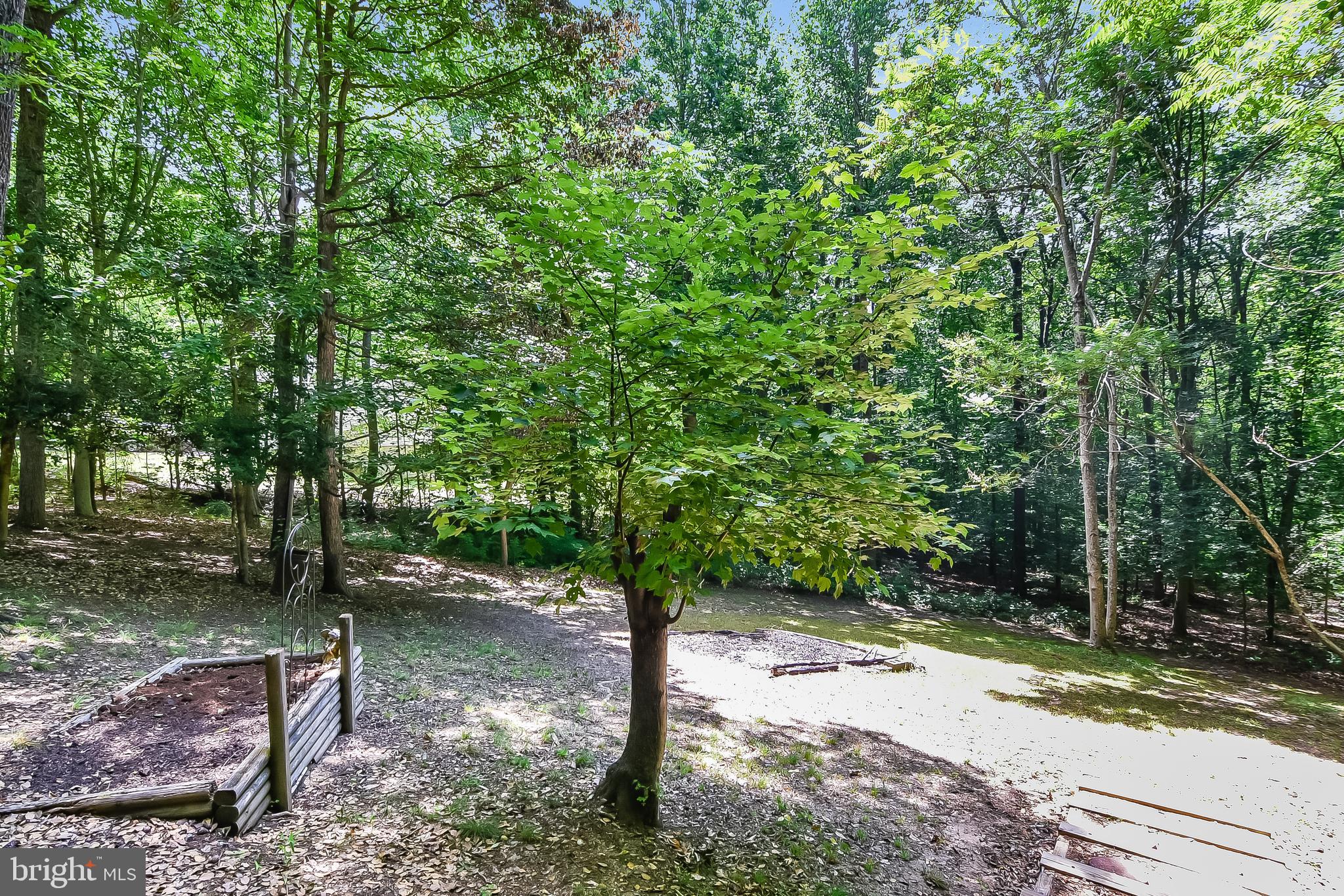 6438 Igo Road King George, VA 22485 - Photo 55 of 61 Gallery Image 55