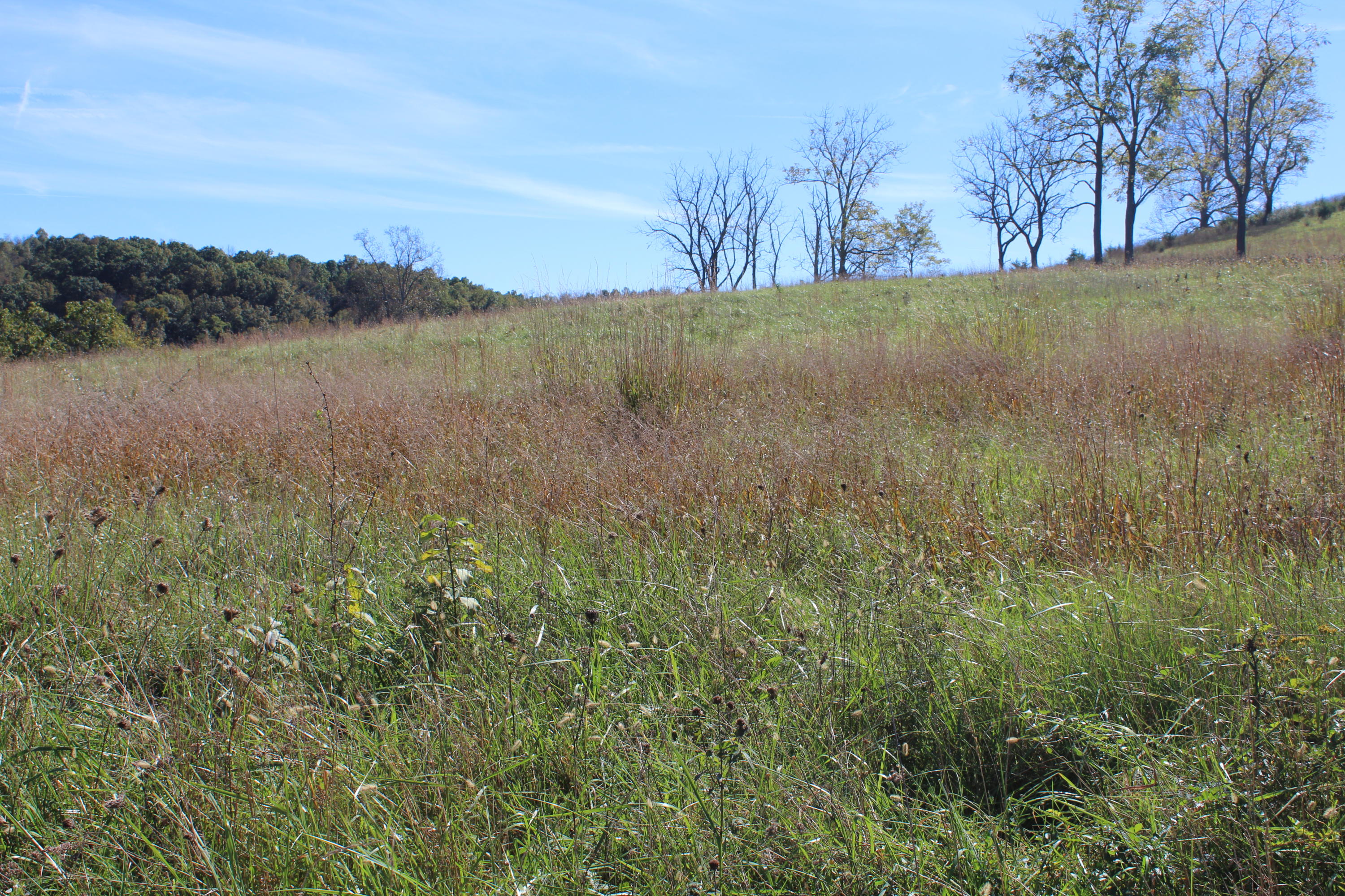 7 Rt Talcott, WV 24981 - Photo 14 of 14 Gallery Image 14