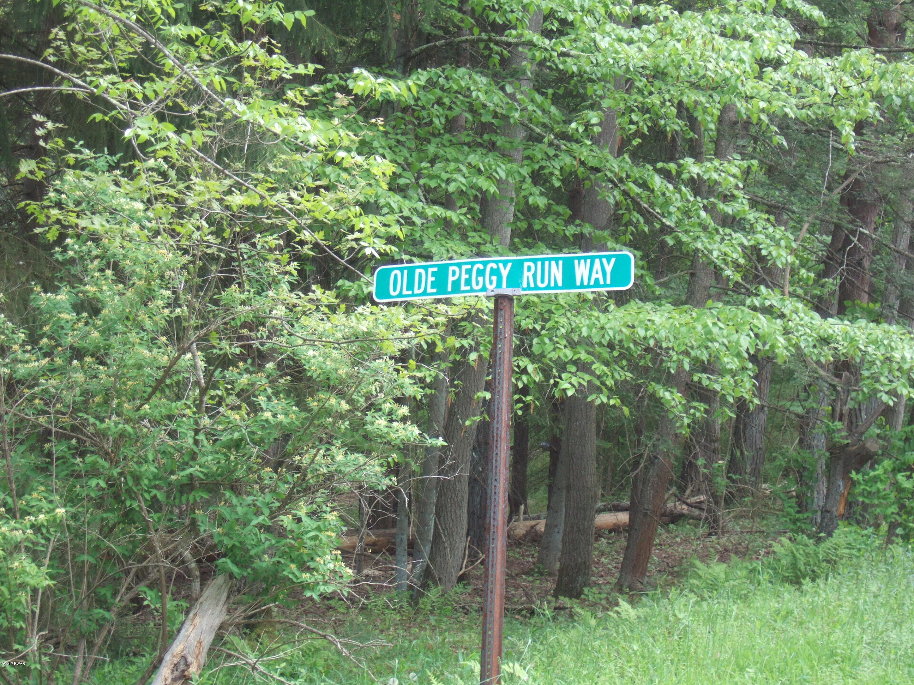 20 Old Peggy Runway Road Beach Lake, PA 18405 - Photo 7 of 26 Old Peggy Run Way