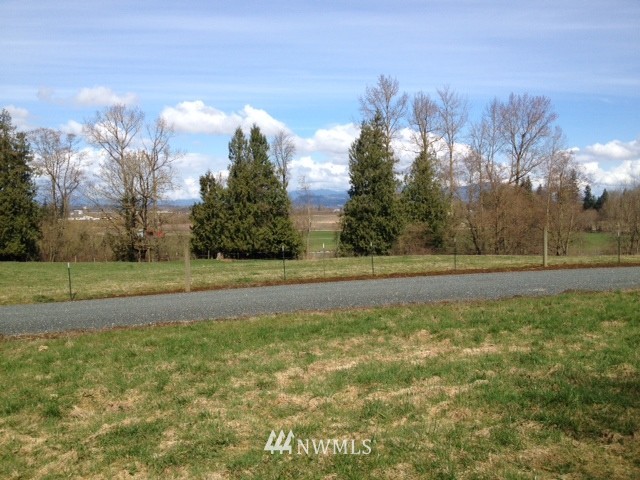 8411 North Telegraph Road Everson, WA 98247 - Photo 1 of 3 a view of a green field