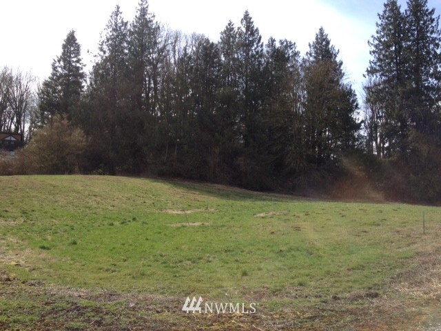 8411 North Telegraph Road Everson, WA 98247 - Photo 2 of 3 a view of a yard