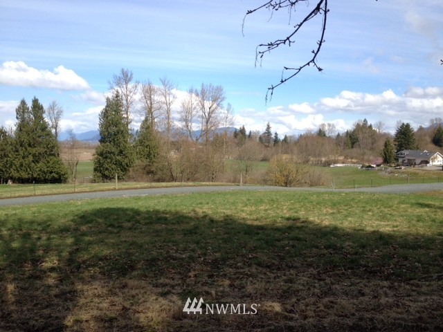 8411 North Telegraph Road Everson, WA 98247 - Photo 3 of 3 a view of a big yard