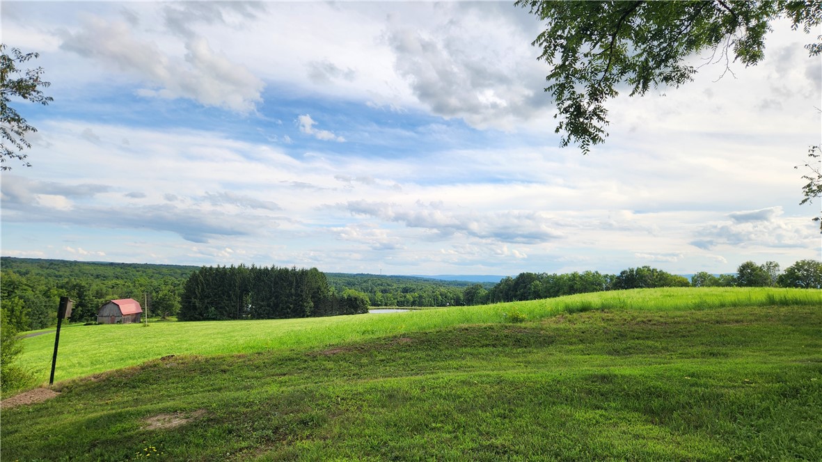 9808 Marsh Road Lodi, NY 14841 - Photo 31 of 37 Gallery Image 31