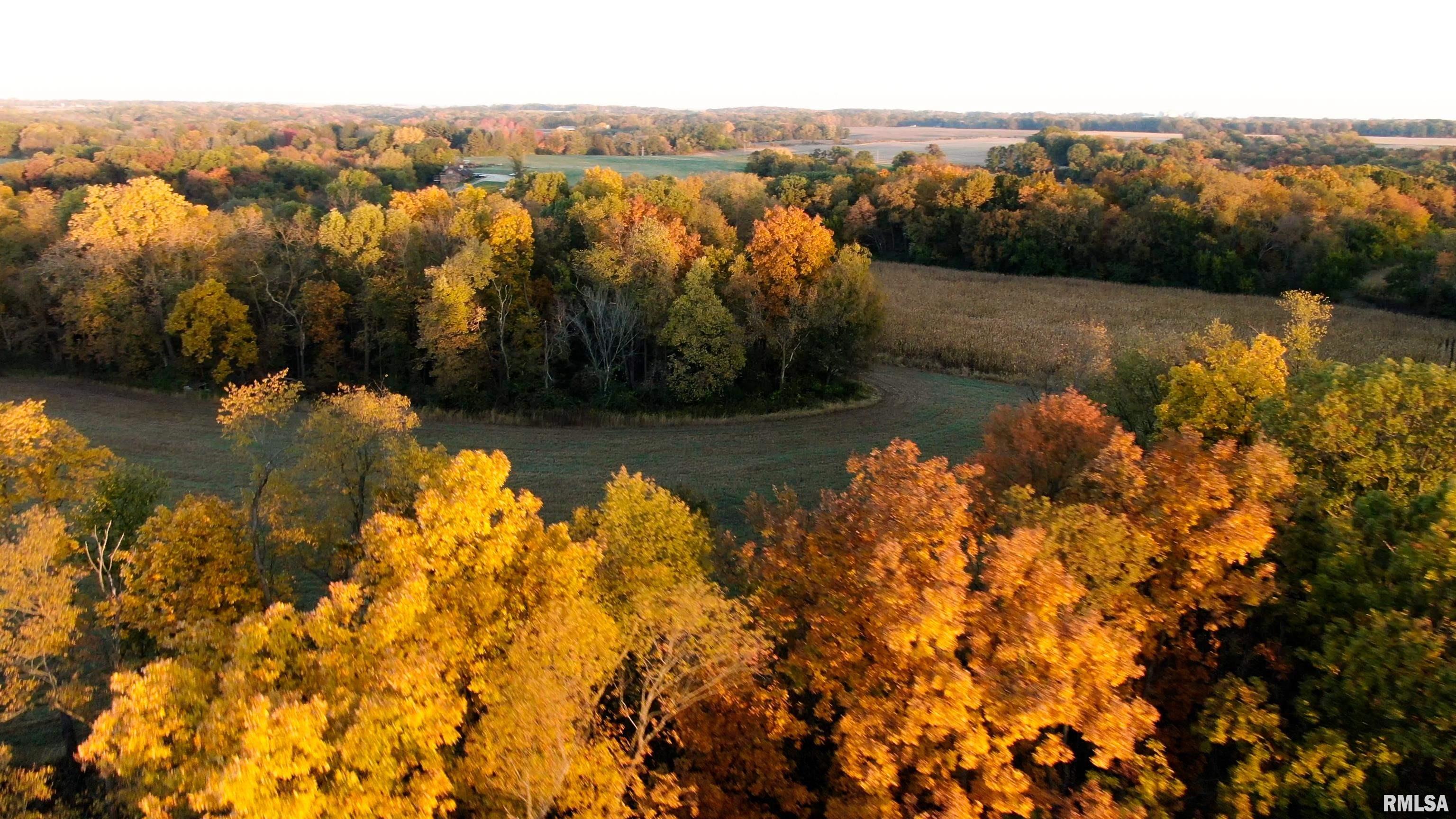 13126 West Parks School Road Princeville, IL 61559 - Photo 11 of 74 Gallery Image 11