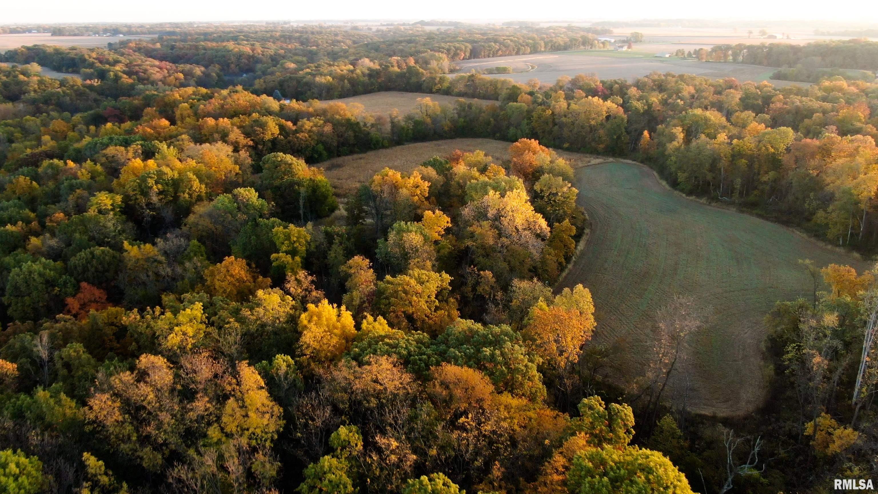 13126 West Parks School Road Princeville, IL 61559 - Photo 13 of 74 Gallery Image 13