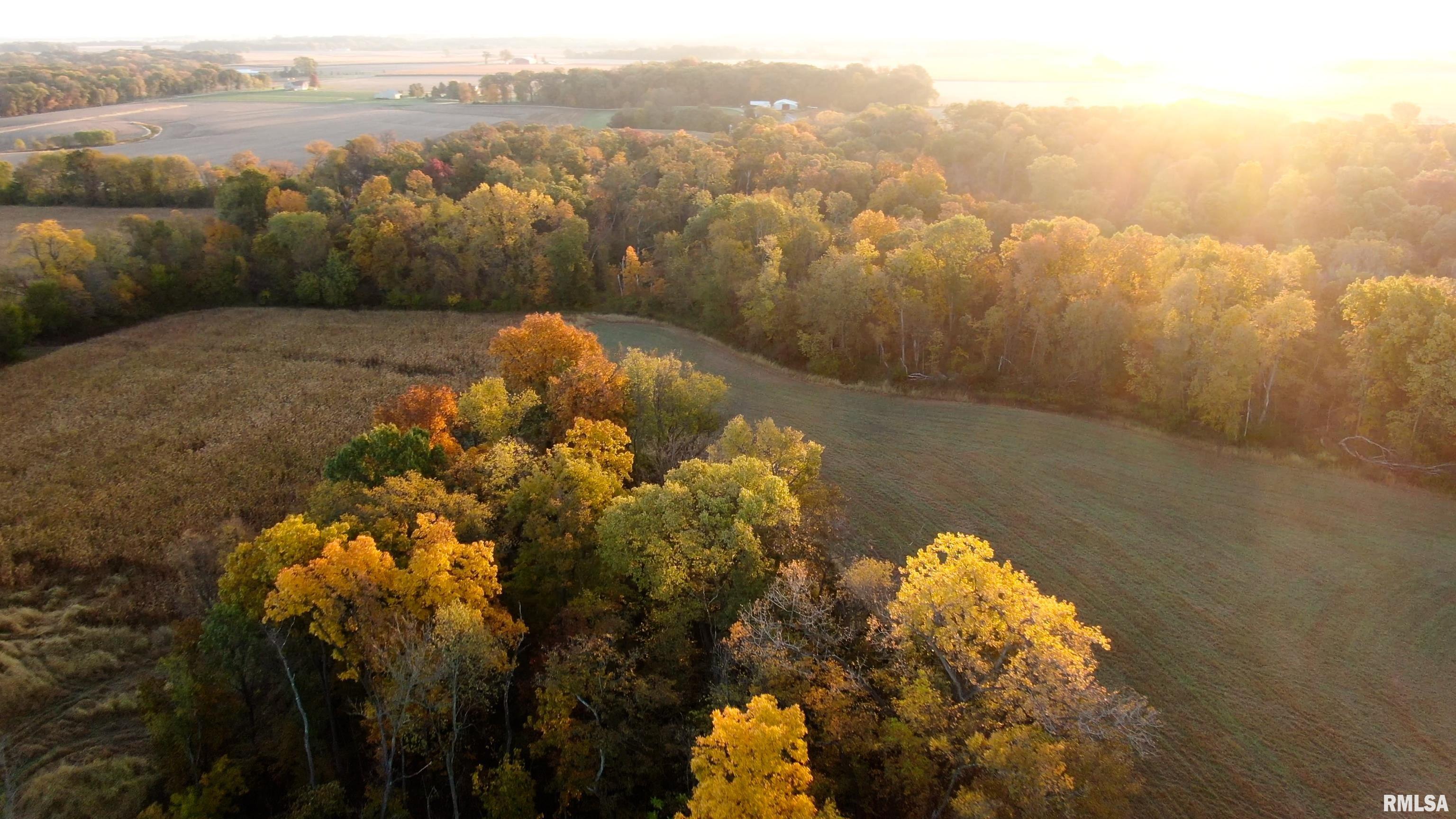 13126 West Parks School Road Princeville, IL 61559 - Photo 14 of 74 Gallery Image 14