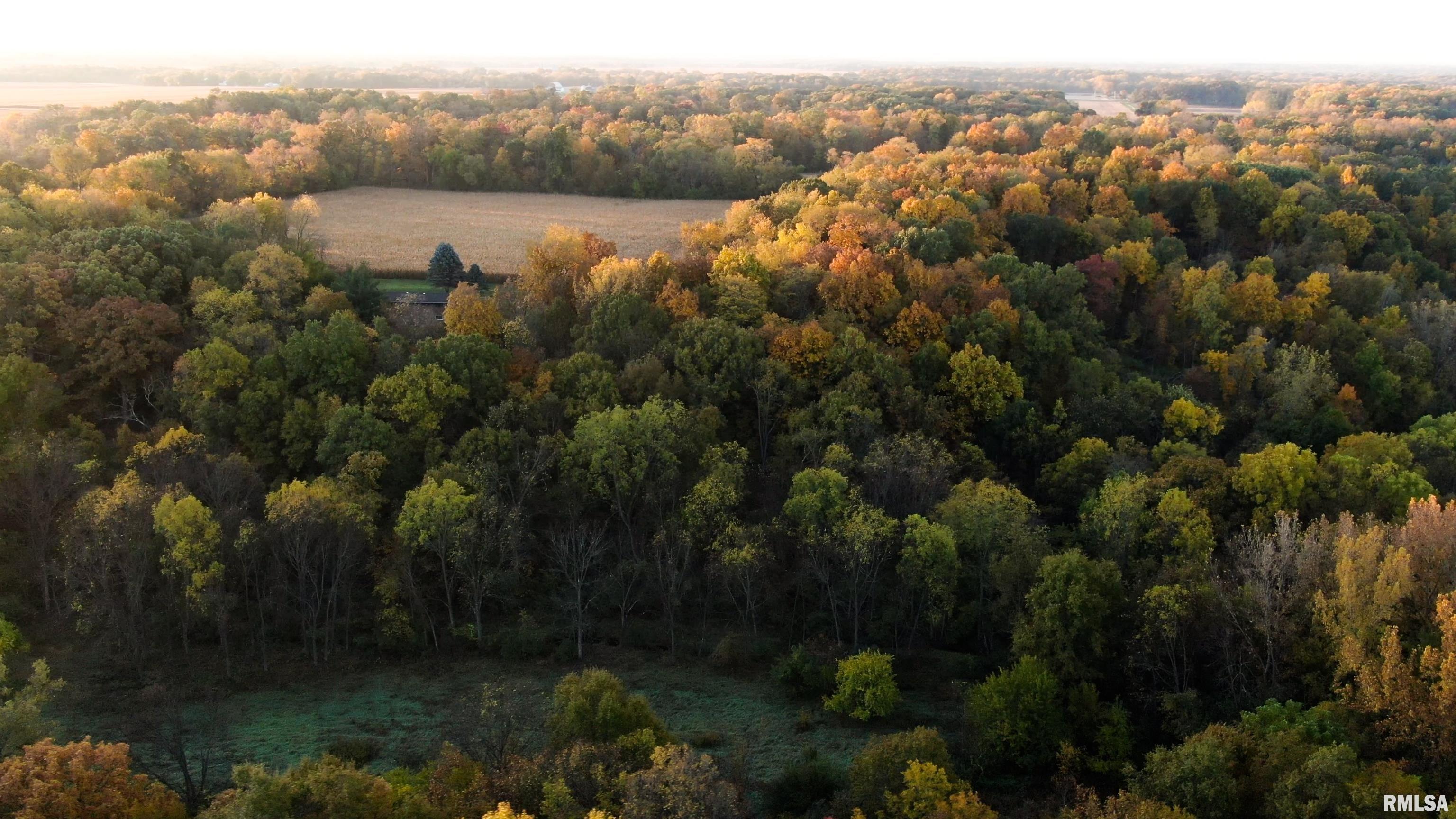 13126 West Parks School Road Princeville, IL 61559 - Photo 17 of 74 Gallery Image 17