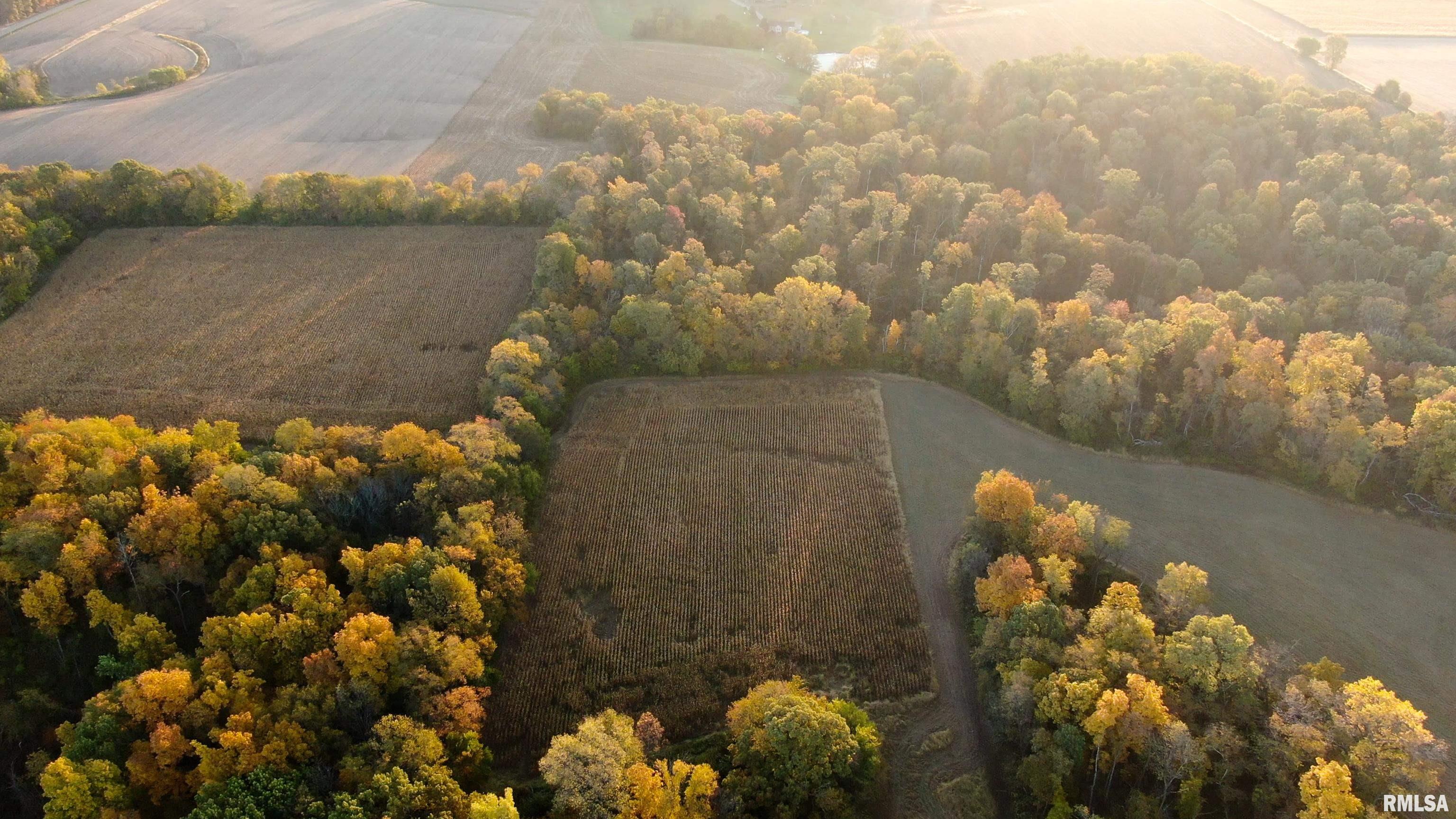 13126 West Parks School Road Princeville, IL 61559 - Photo 18 of 74 Gallery Image 18