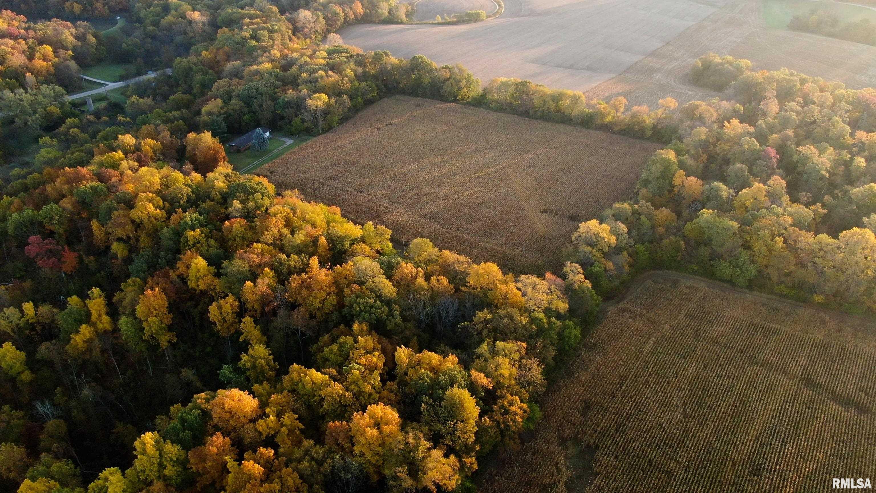 13126 West Parks School Road Princeville, IL 61559 - Photo 19 of 74 Gallery Image 19