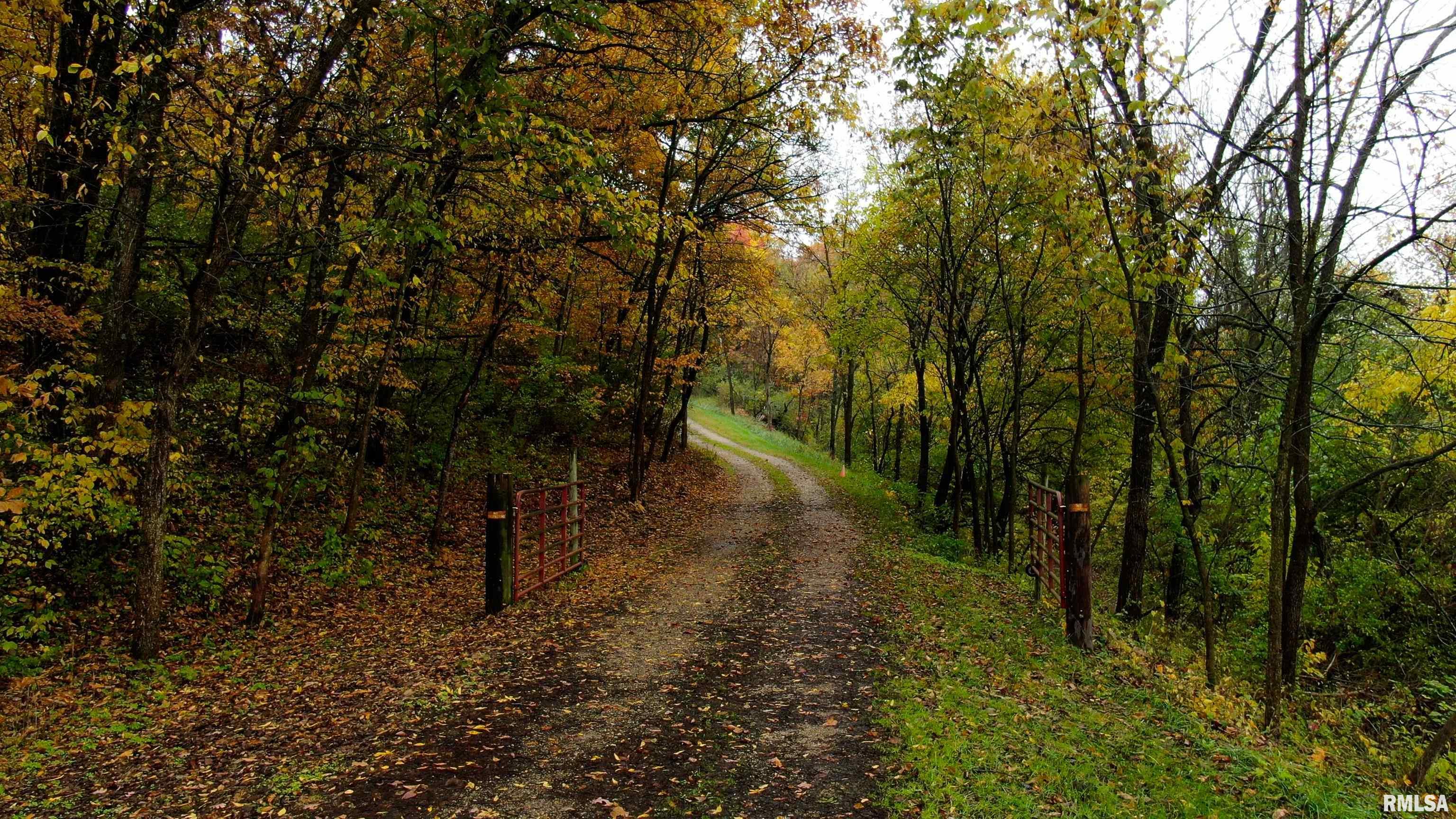 13126 West Parks School Road Princeville, IL 61559 - Photo 20 of 74 Gallery Image 20