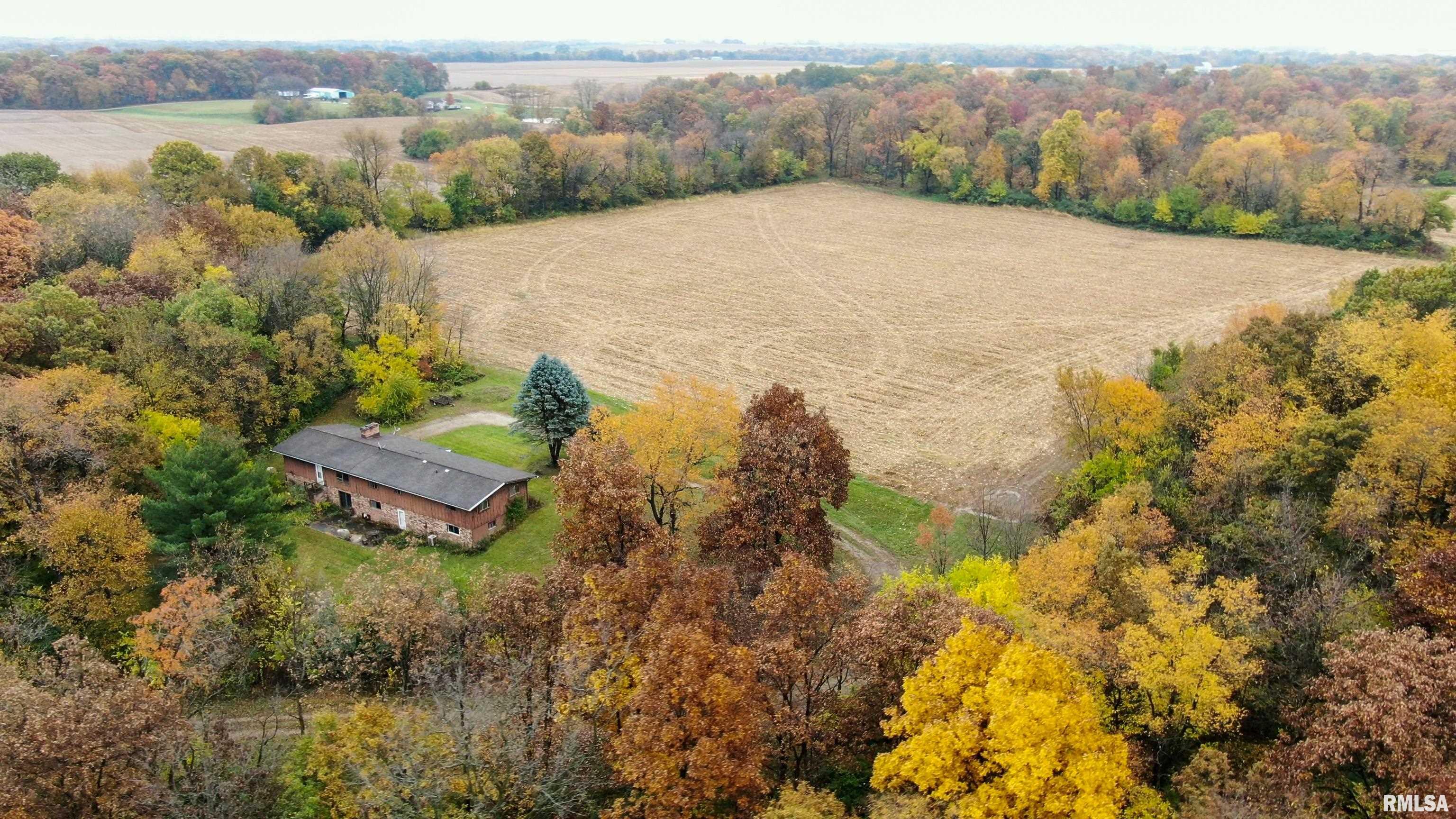 13126 West Parks School Road Princeville, IL 61559 - Photo 22 of 74 Gallery Image 22