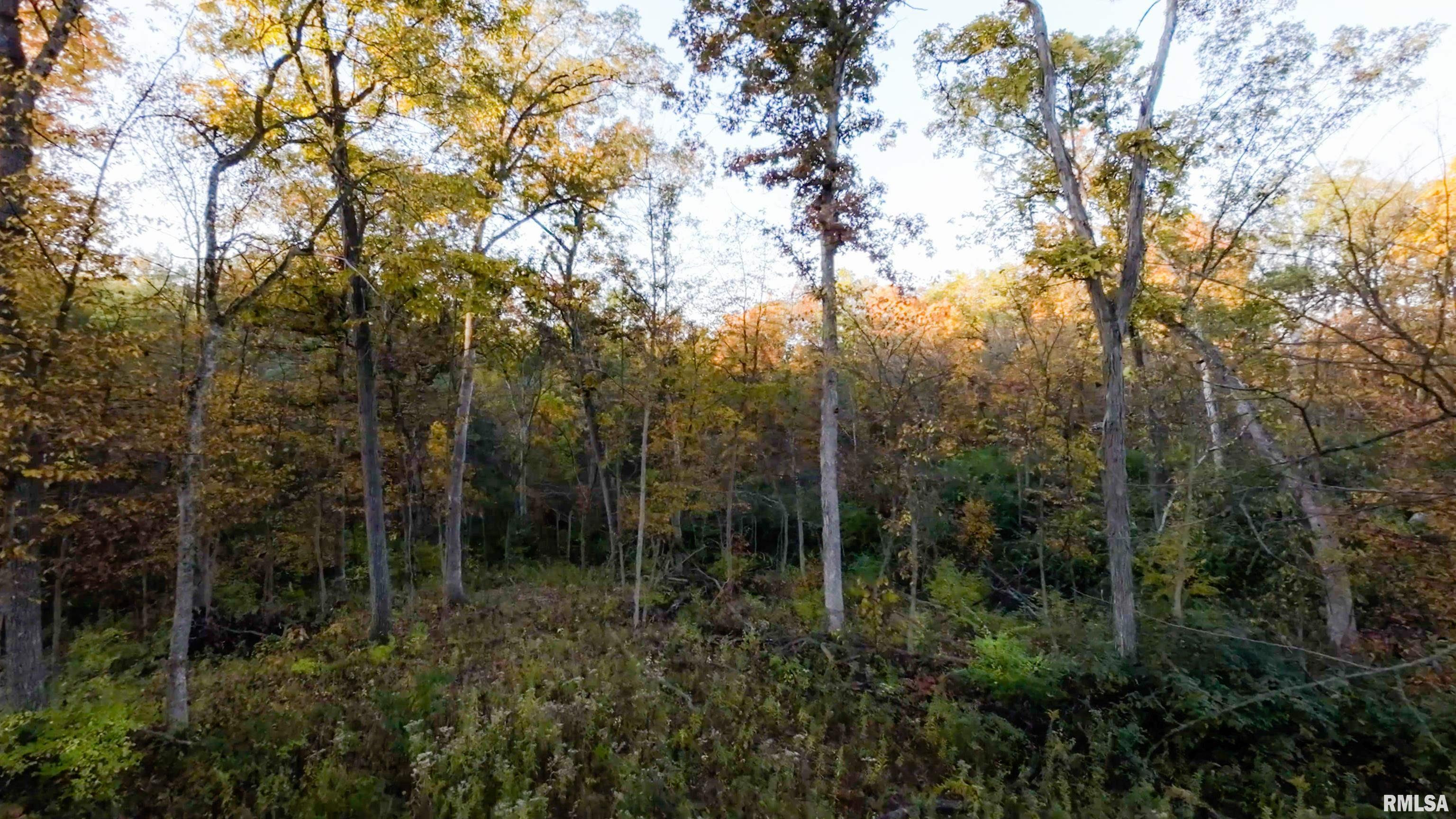 13126 West Parks School Road Princeville, IL 61559 - Photo 26 of 74 Gallery Image 26