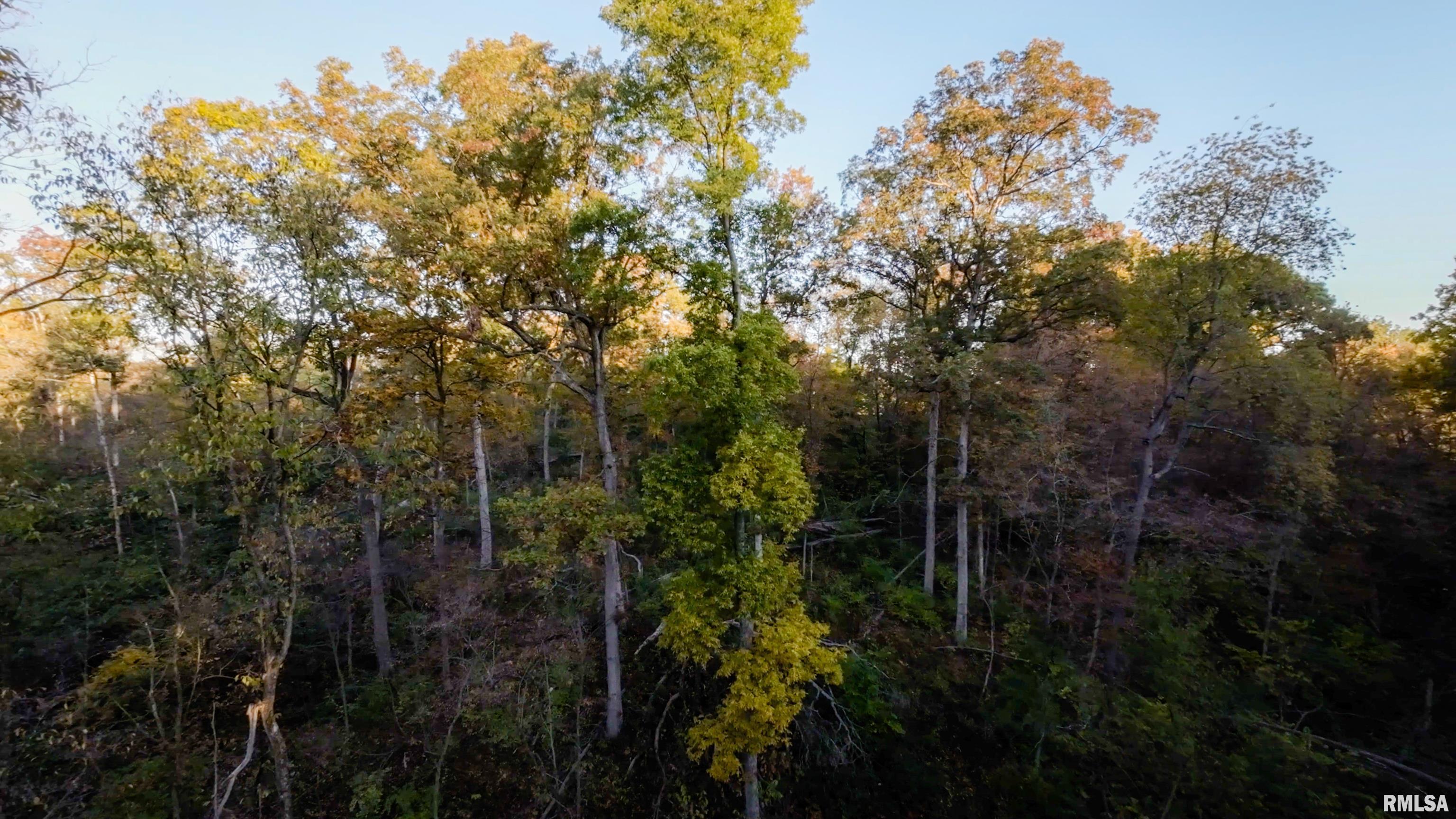 13126 West Parks School Road Princeville, IL 61559 - Photo 27 of 74 Gallery Image 27