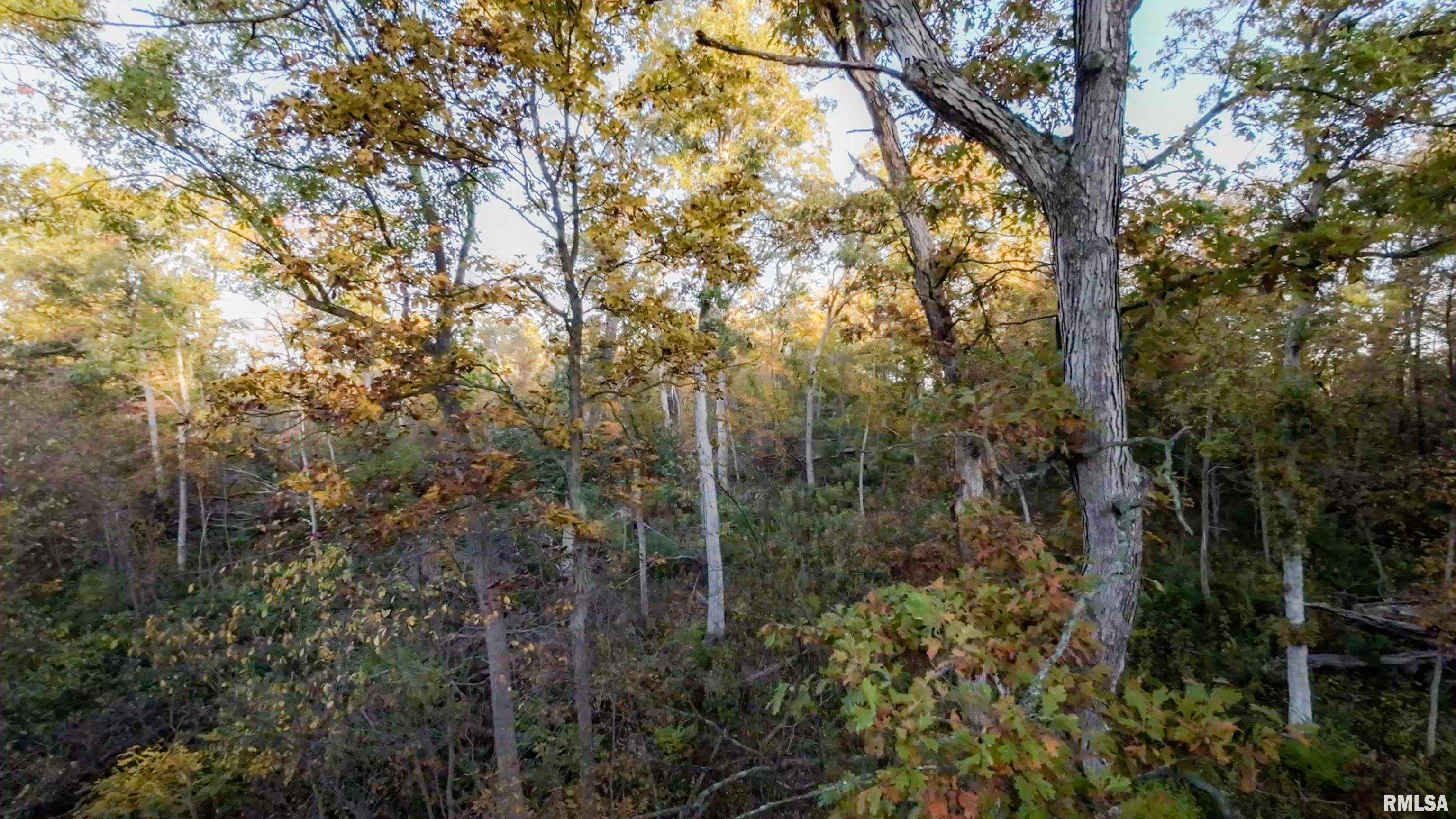 13126 West Parks School Road Princeville, IL 61559 - Photo 28 of 74 Gallery Image 28