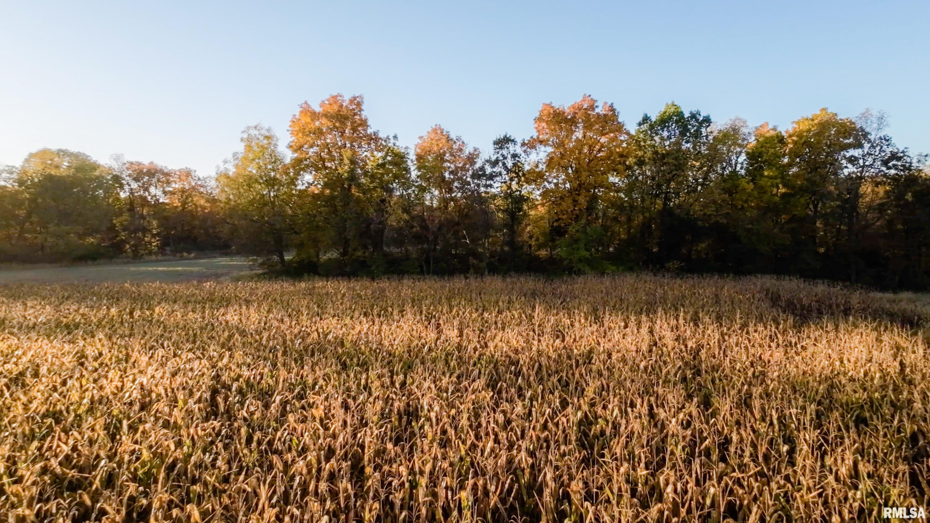 13126 West Parks School Road Princeville, IL 61559 - Photo 29 of 74 Gallery Image 29