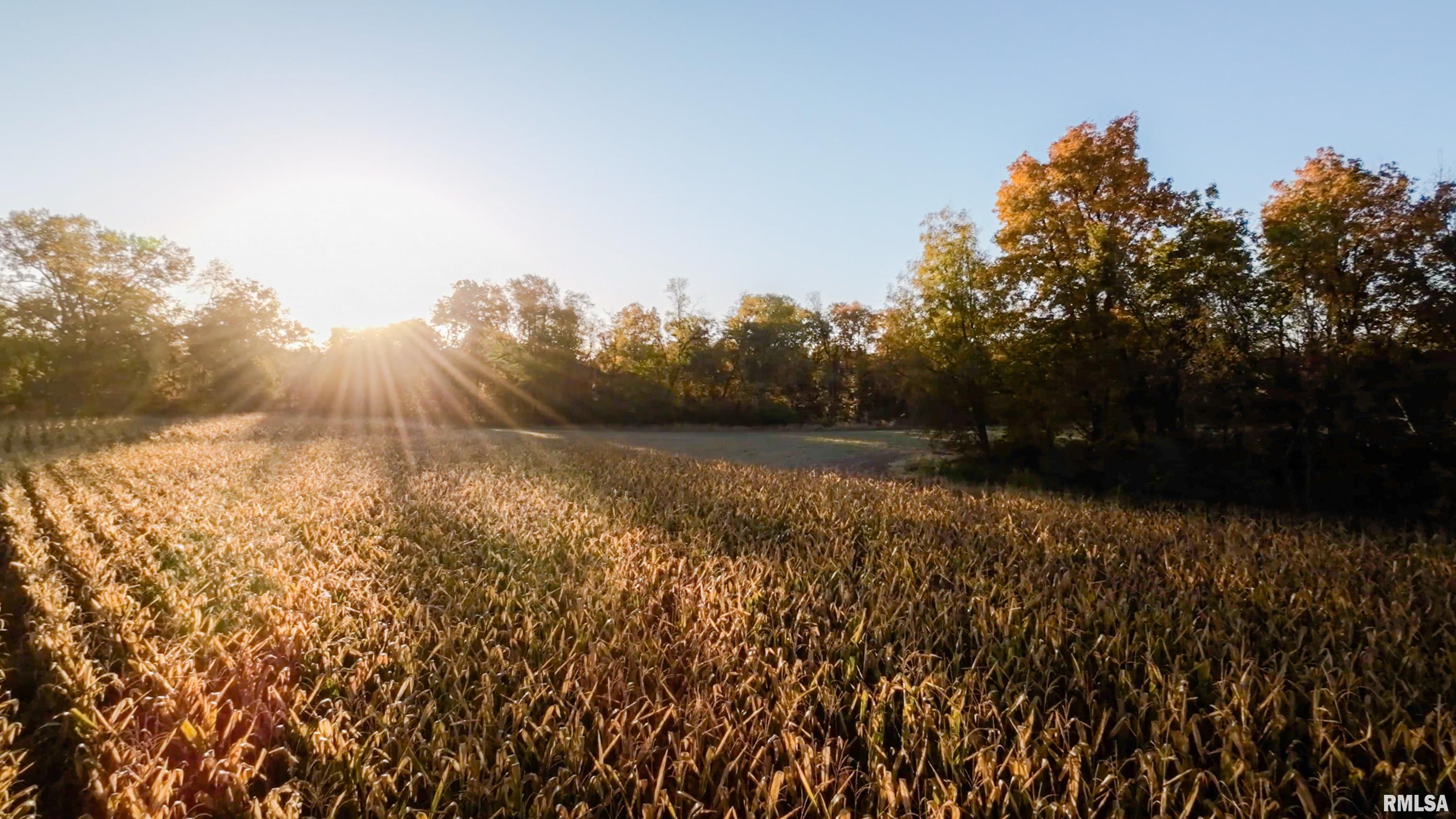 13126 West Parks School Road Princeville, IL 61559 - Photo 30 of 74 Gallery Image 30