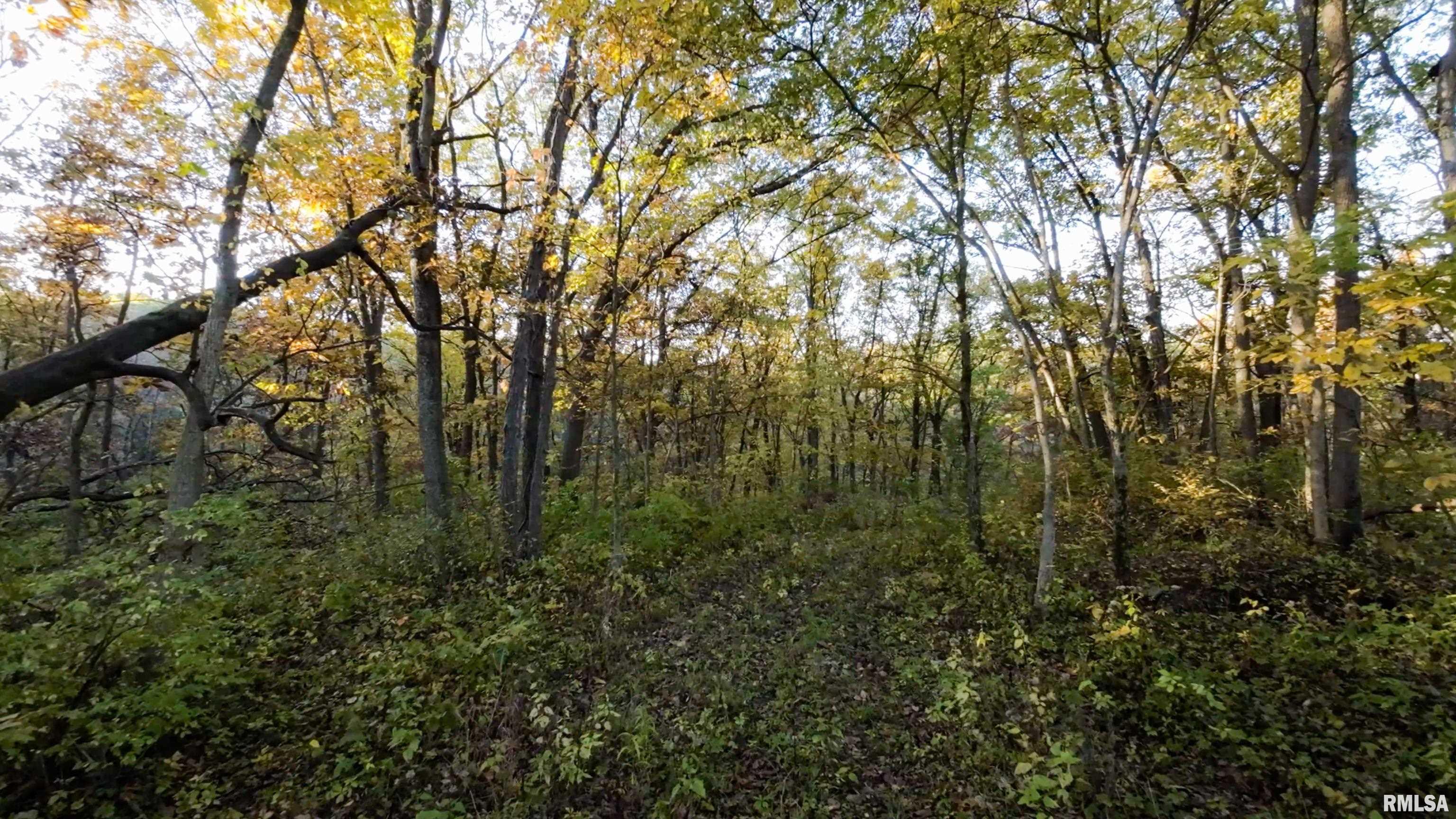 13126 West Parks School Road Princeville, IL 61559 - Photo 31 of 74 Gallery Image 31