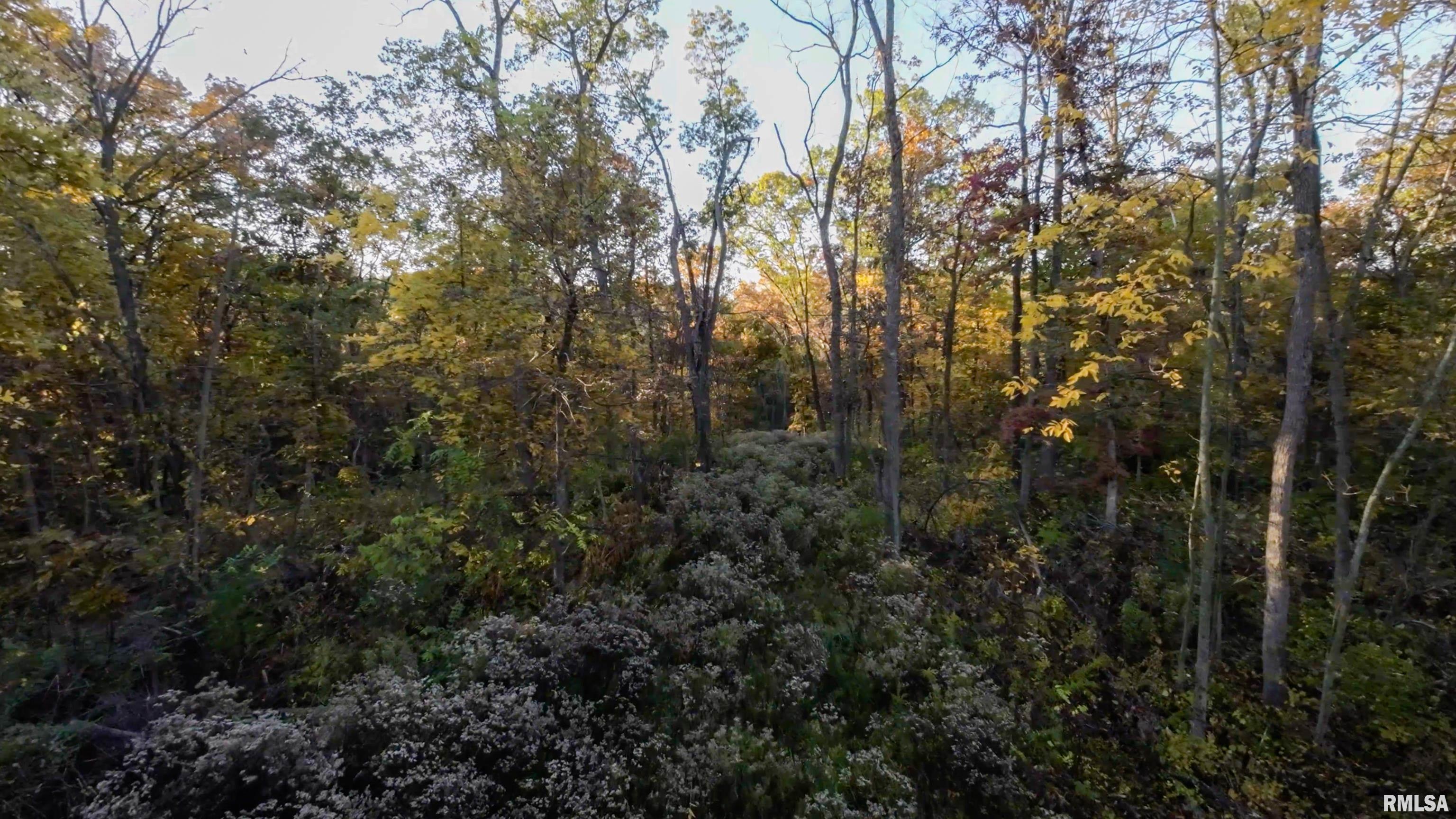 13126 West Parks School Road Princeville, IL 61559 - Photo 34 of 74 Gallery Image 34