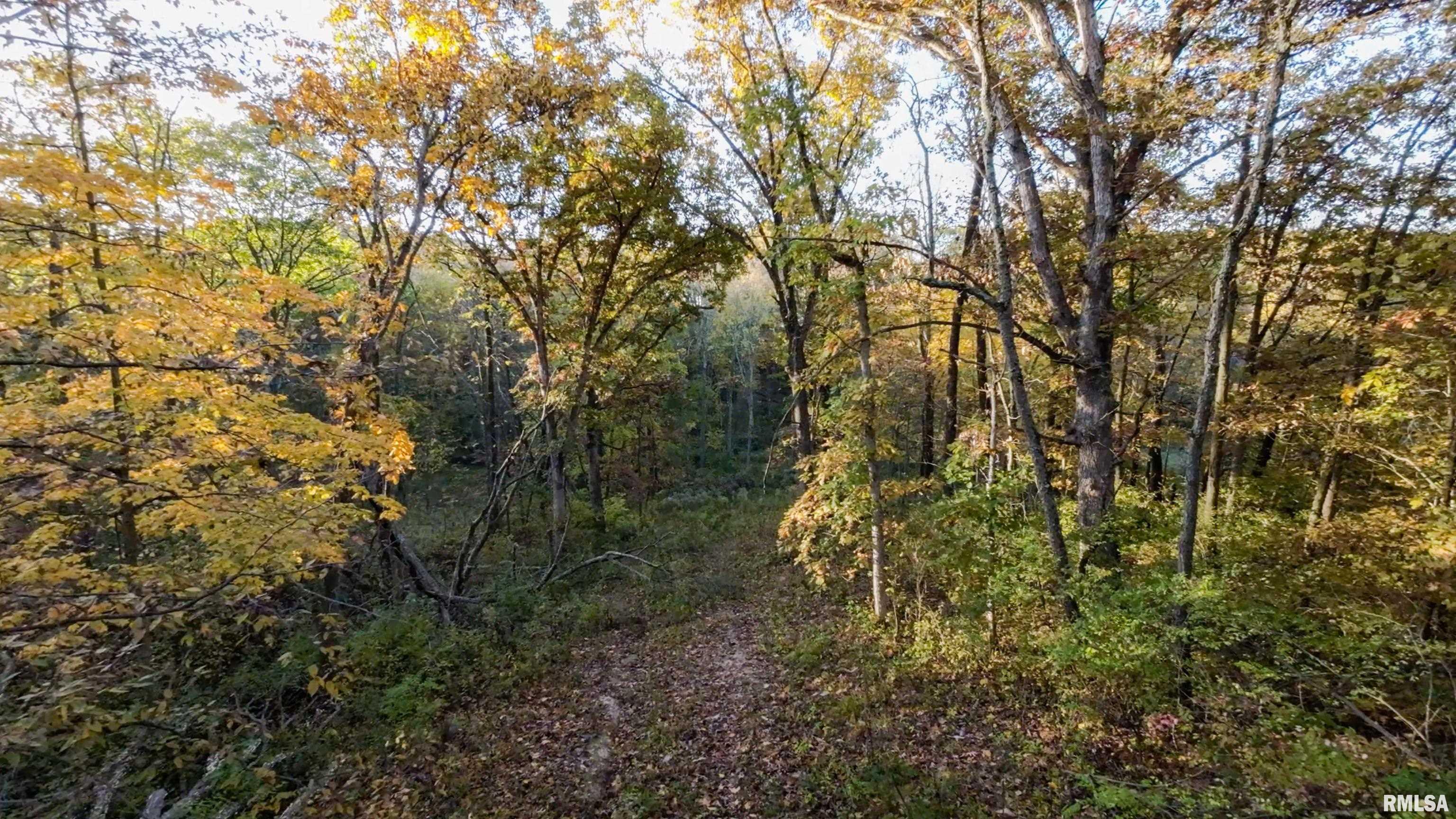 13126 West Parks School Road Princeville, IL 61559 - Photo 35 of 74 Gallery Image 35