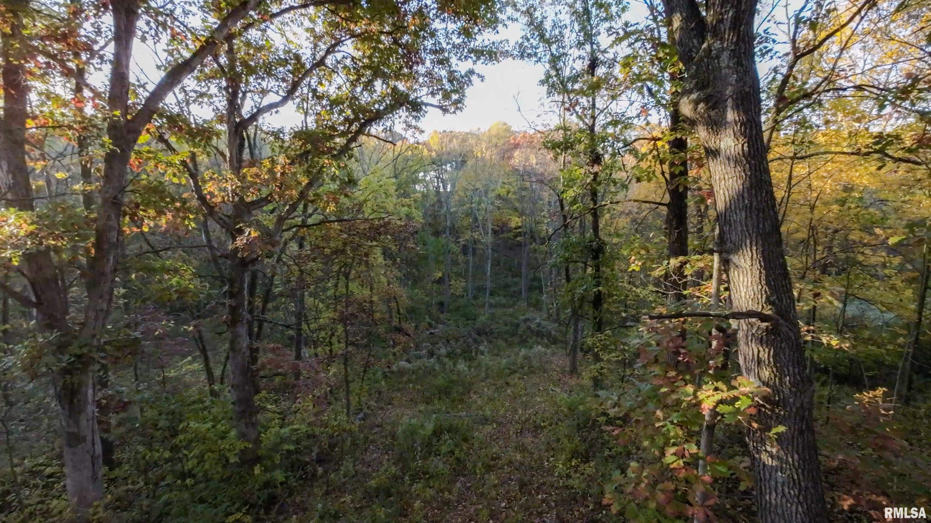 13126 West Parks School Road Princeville, IL 61559 - Photo 36 of 74 Gallery Image 36