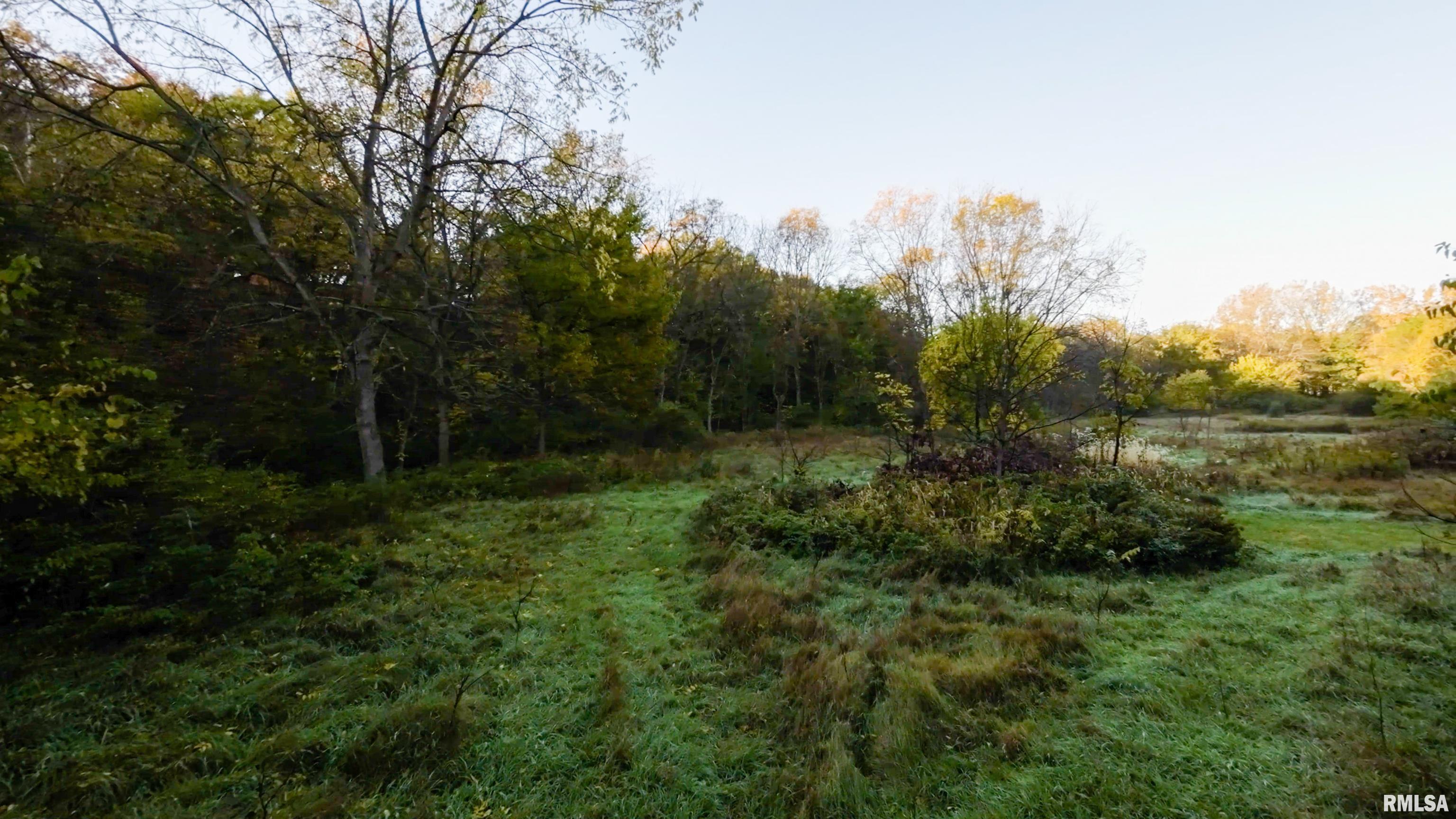 13126 West Parks School Road Princeville, IL 61559 - Photo 42 of 74 Gallery Image 42