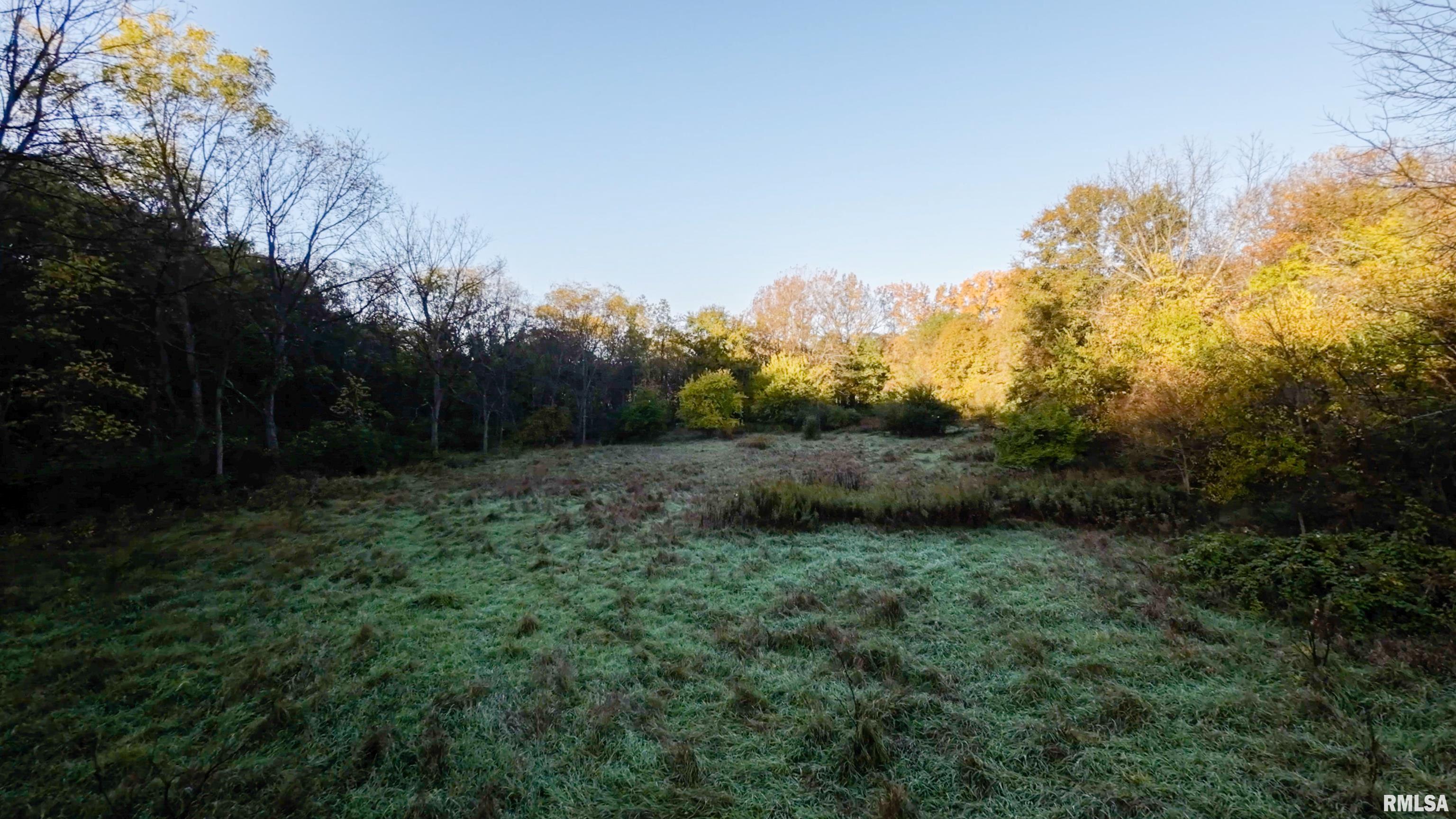13126 West Parks School Road Princeville, IL 61559 - Photo 43 of 74 Gallery Image 43