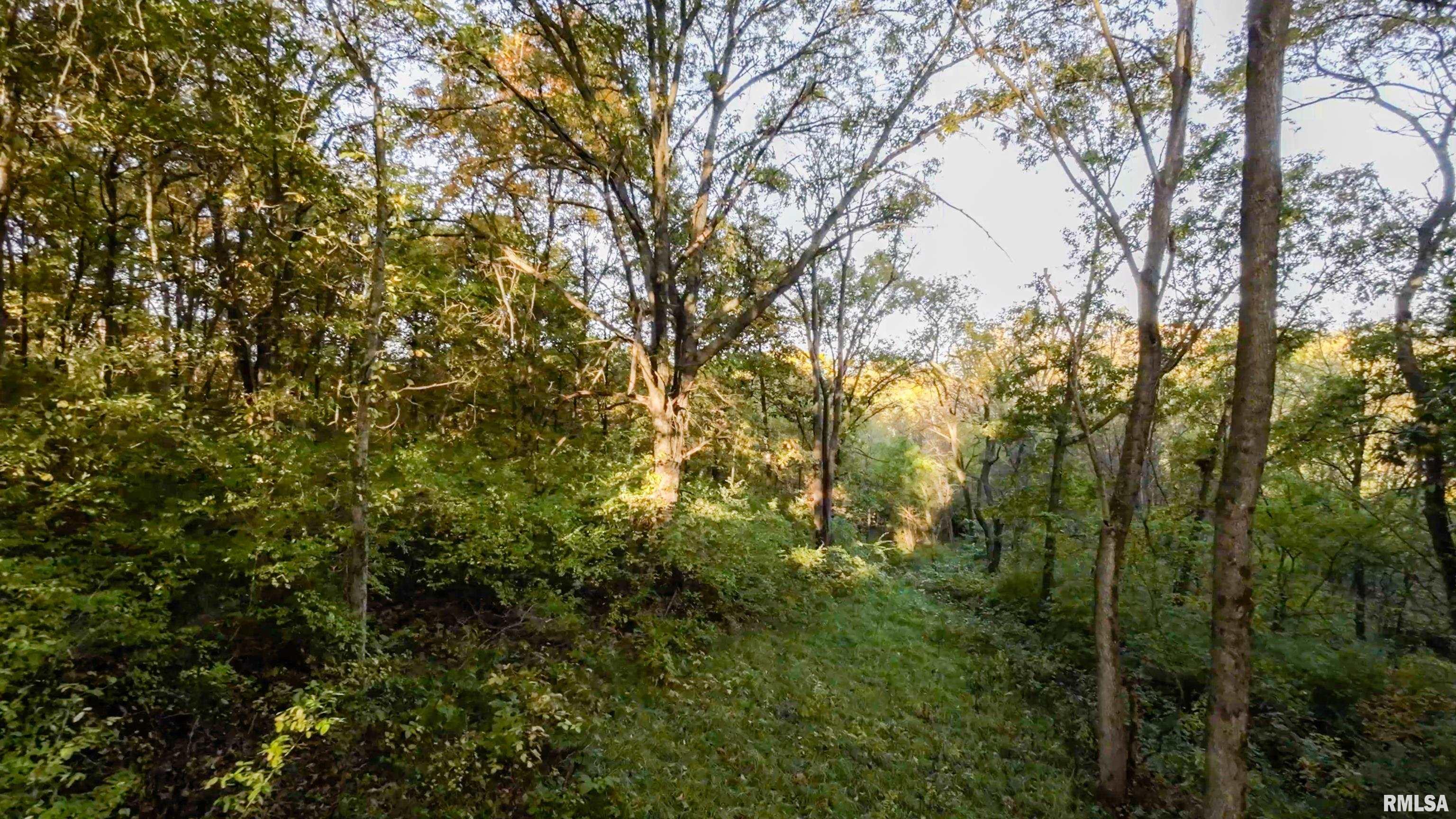 13126 West Parks School Road Princeville, IL 61559 - Photo 44 of 74 Gallery Image 44