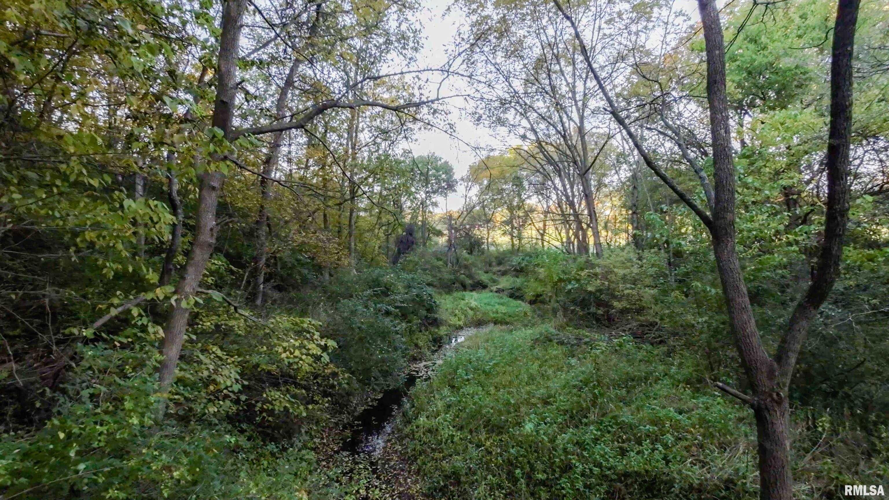13126 West Parks School Road Princeville, IL 61559 - Photo 45 of 74 Gallery Image 45