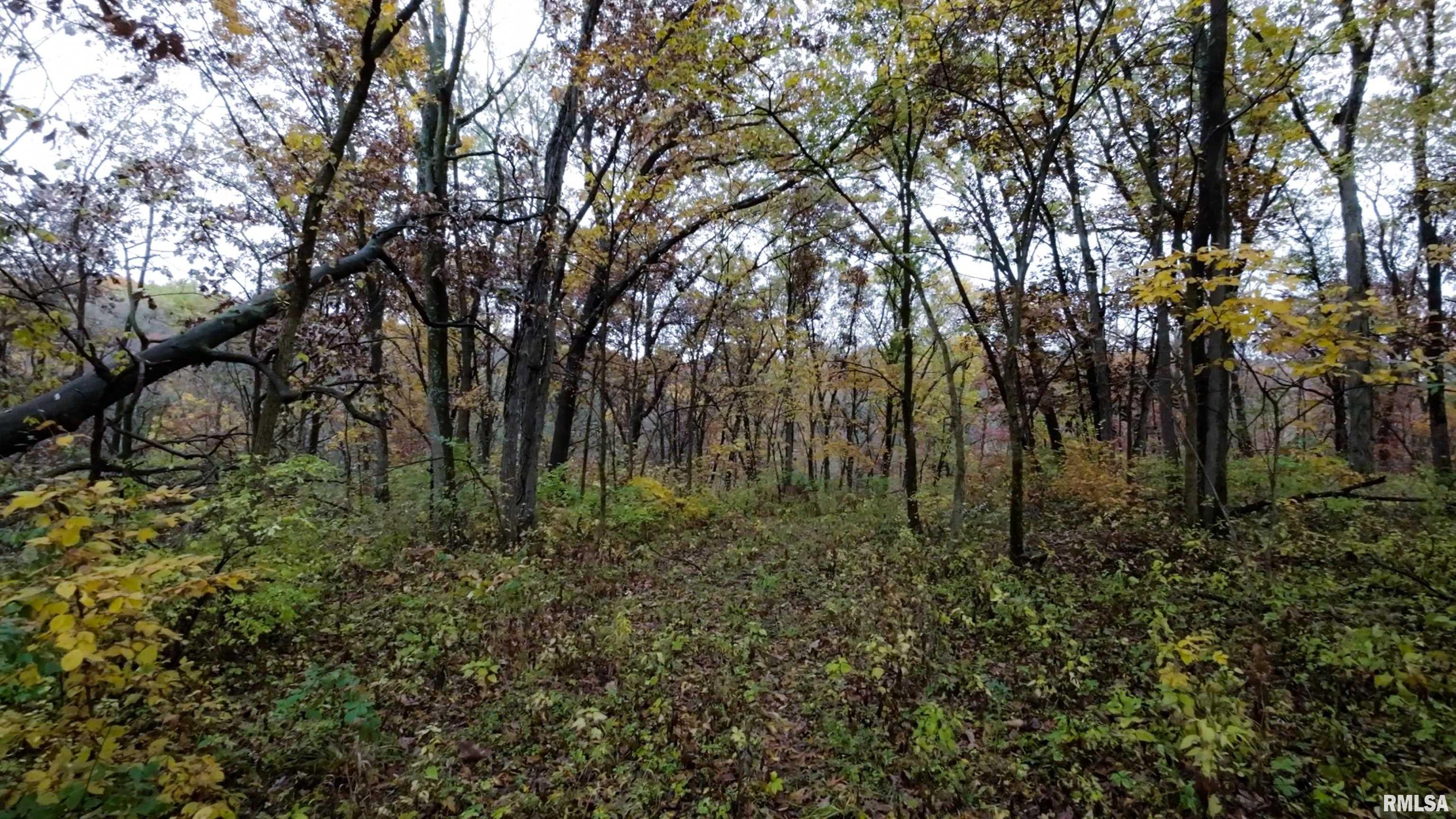 13126 West Parks School Road Princeville, IL 61559 - Photo 49 of 74 Gallery Image 49