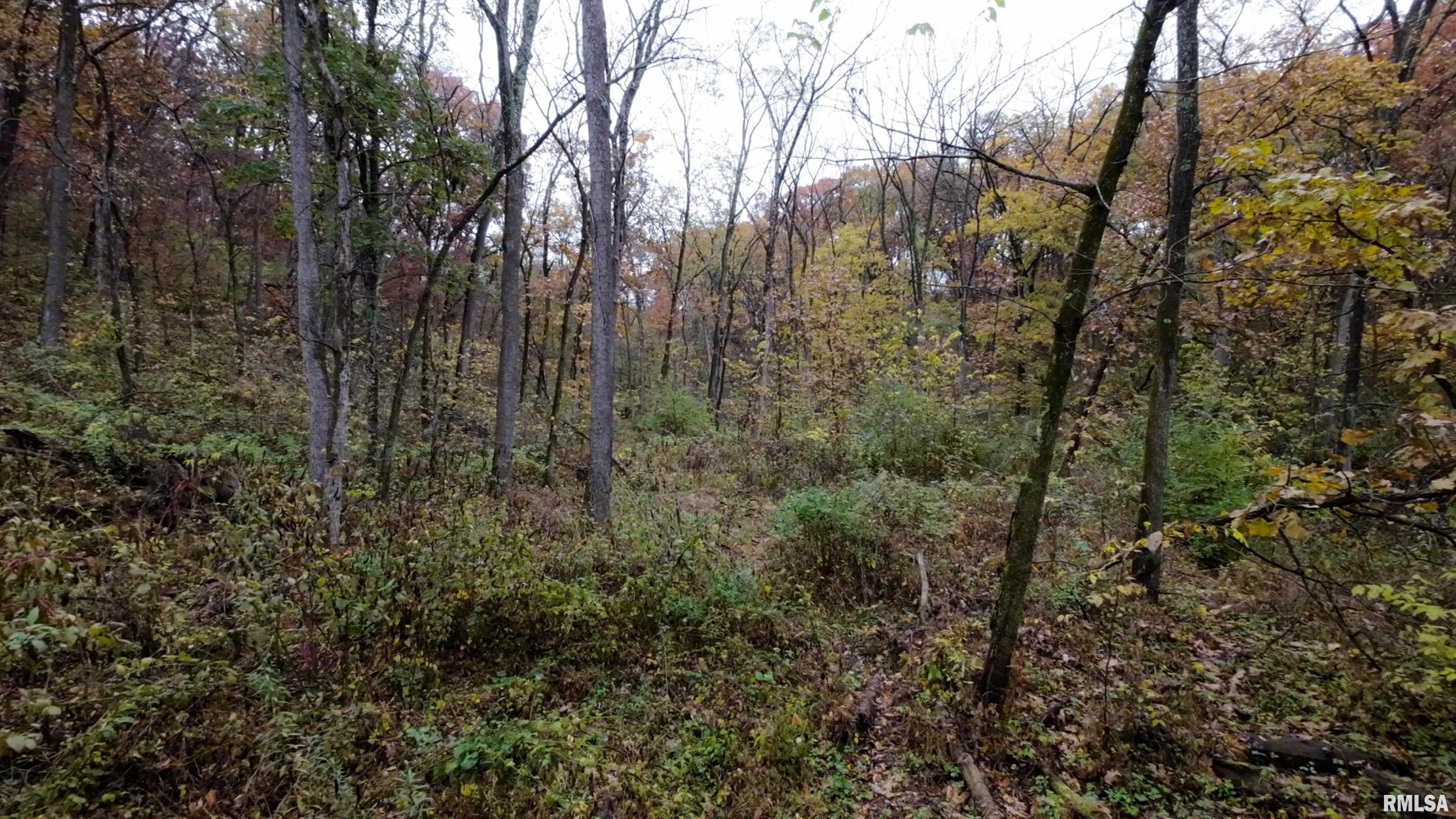 13126 West Parks School Road Princeville, IL 61559 - Photo 52 of 74 Gallery Image 52