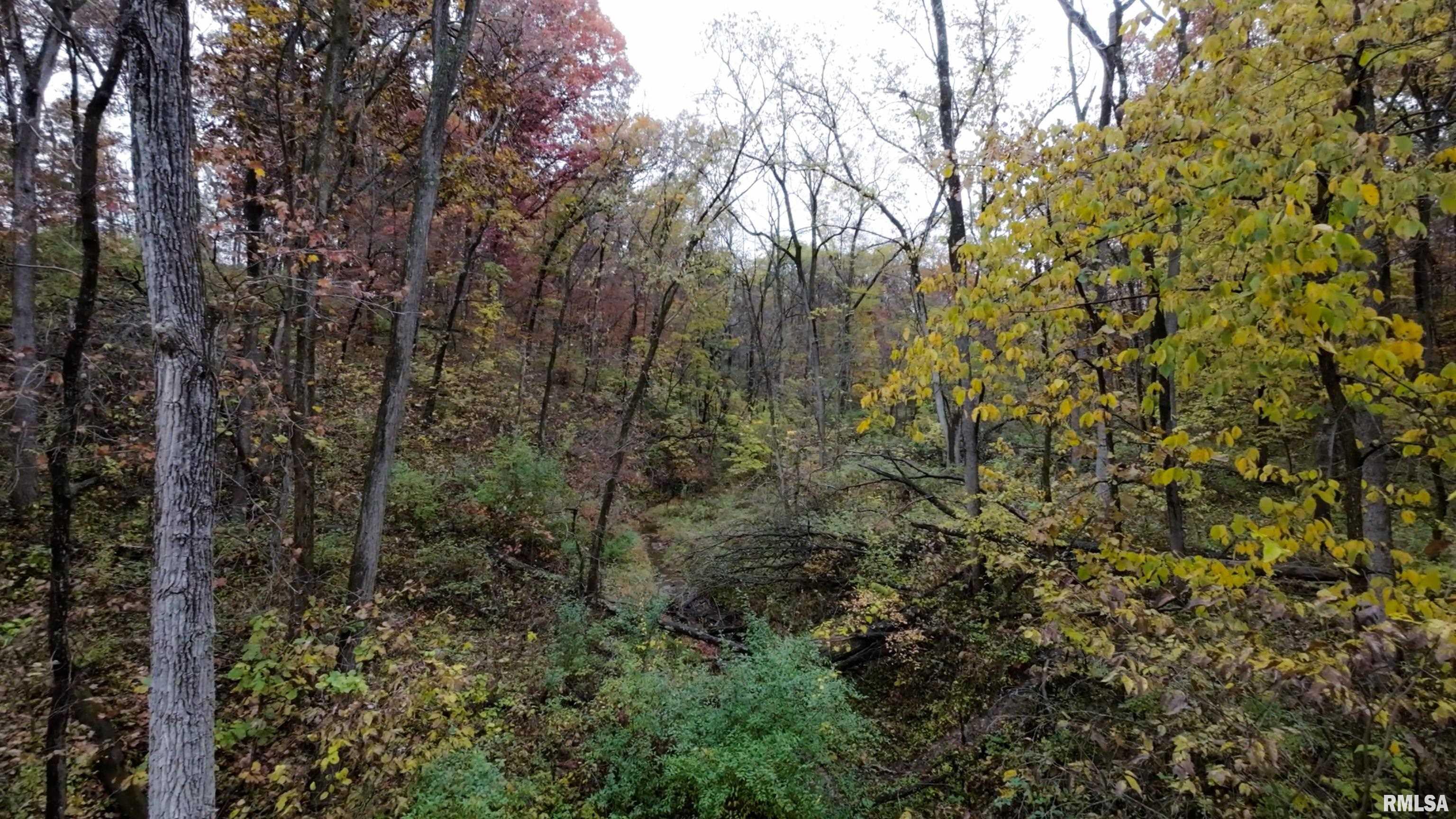 13126 West Parks School Road Princeville, IL 61559 - Photo 53 of 74 Gallery Image 53