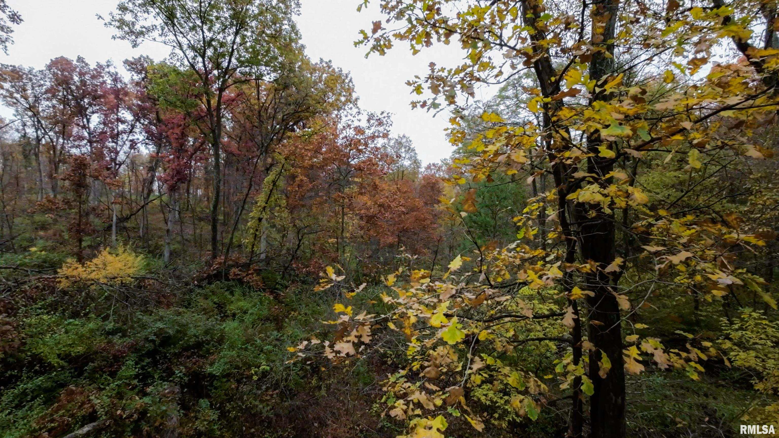 13126 West Parks School Road Princeville, IL 61559 - Photo 58 of 74 Gallery Image 58