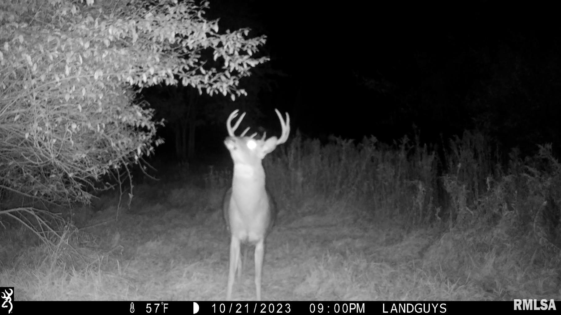 13126 West Parks School Road Princeville, IL 61559 - Photo 59 of 74 Gallery Image 59