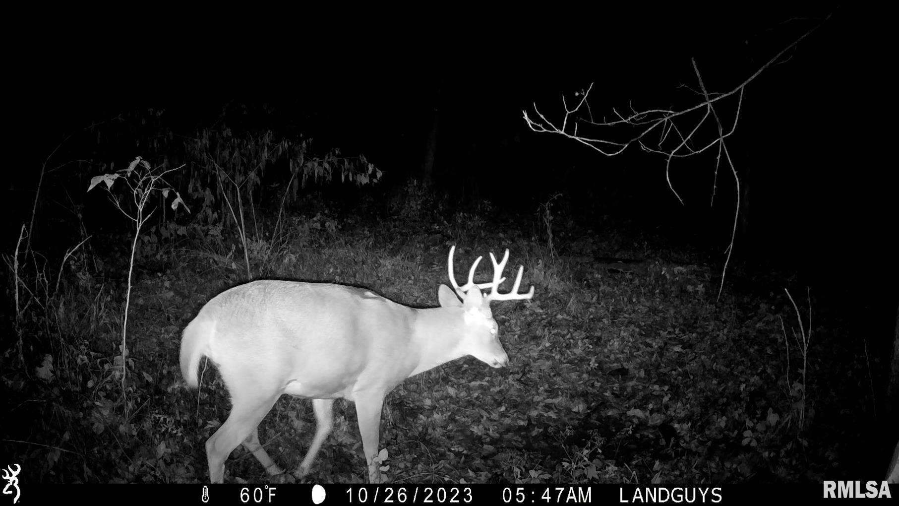 13126 West Parks School Road Princeville, IL 61559 - Photo 60 of 74 Gallery Image 60