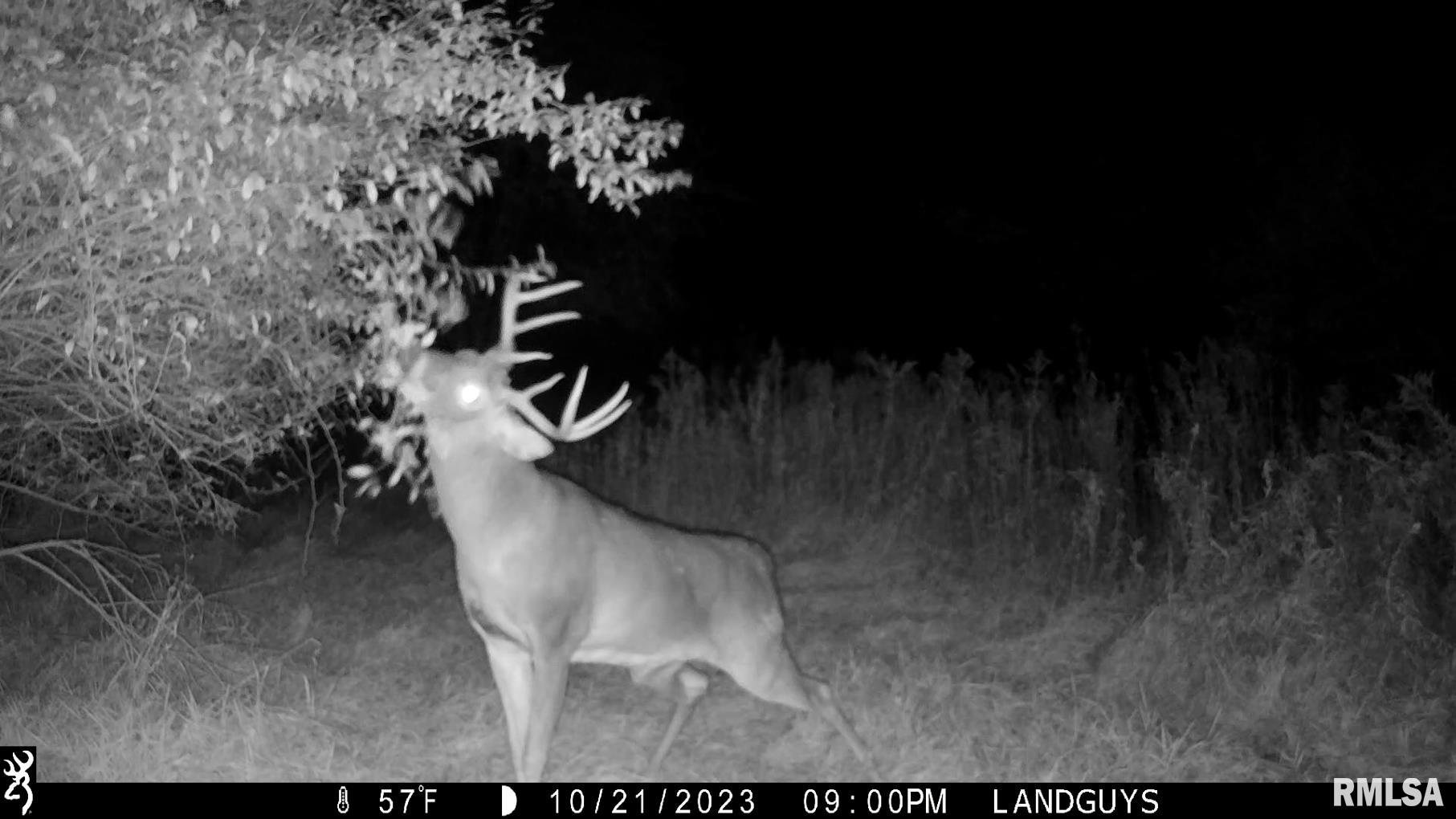 13126 West Parks School Road Princeville, IL 61559 - Photo 61 of 74 Gallery Image 61