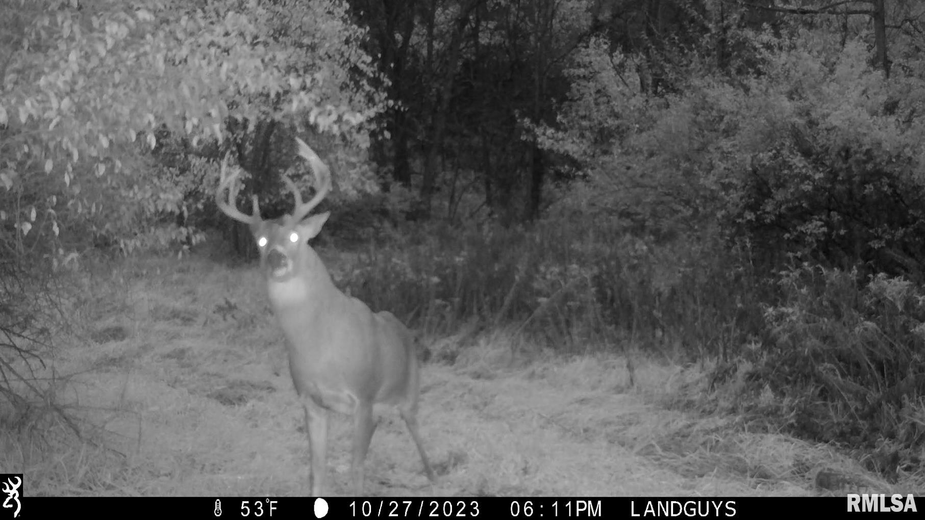 13126 West Parks School Road Princeville, IL 61559 - Photo 62 of 74 Gallery Image 62