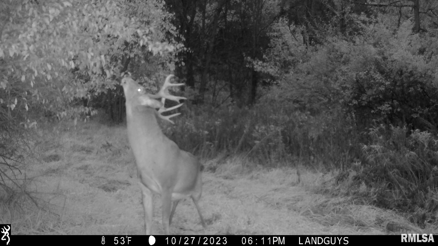 13126 West Parks School Road Princeville, IL 61559 - Photo 63 of 74 Gallery Image 63