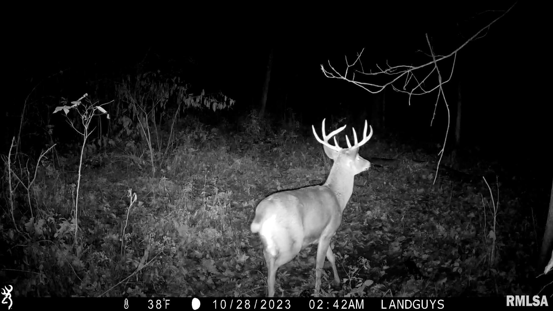 13126 West Parks School Road Princeville, IL 61559 - Photo 64 of 74 Gallery Image 64