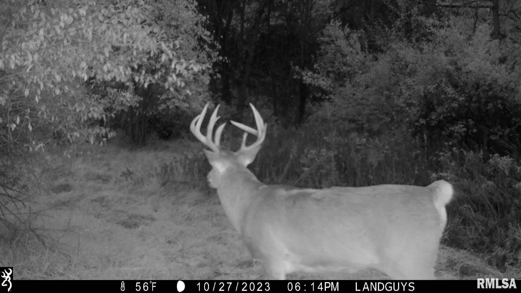 13126 West Parks School Road Princeville, IL 61559 - Photo 65 of 74 Gallery Image 65