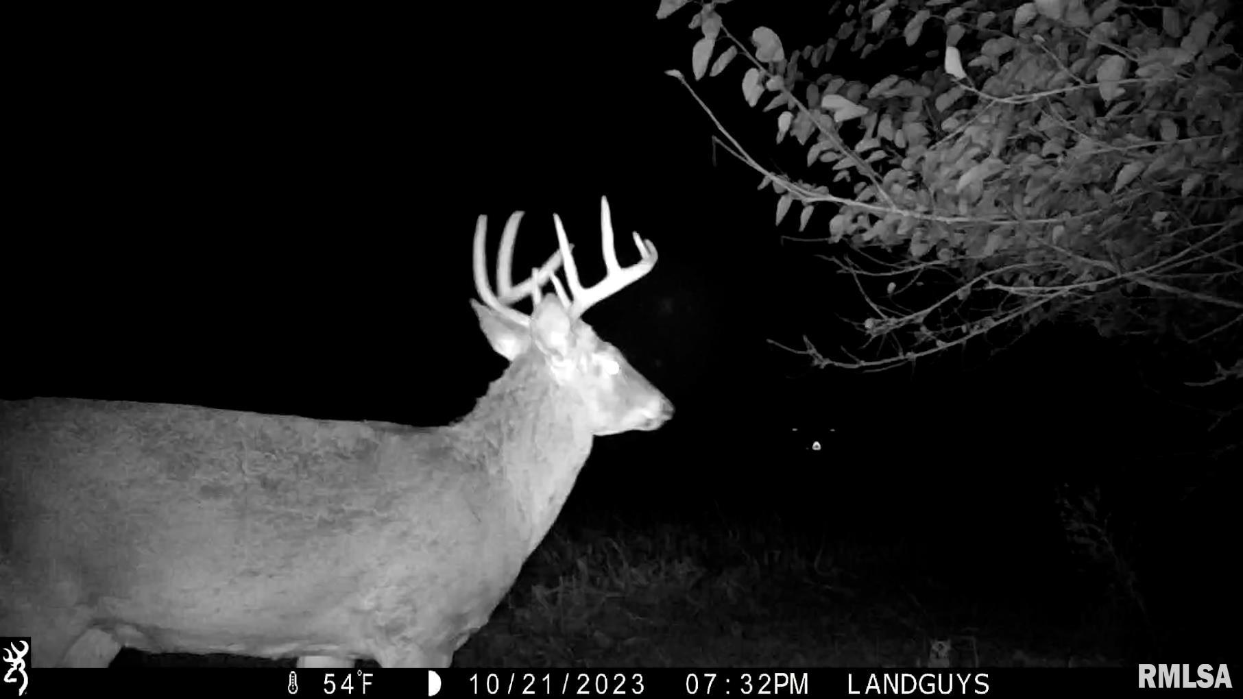 13126 West Parks School Road Princeville, IL 61559 - Photo 68 of 74 Gallery Image 68