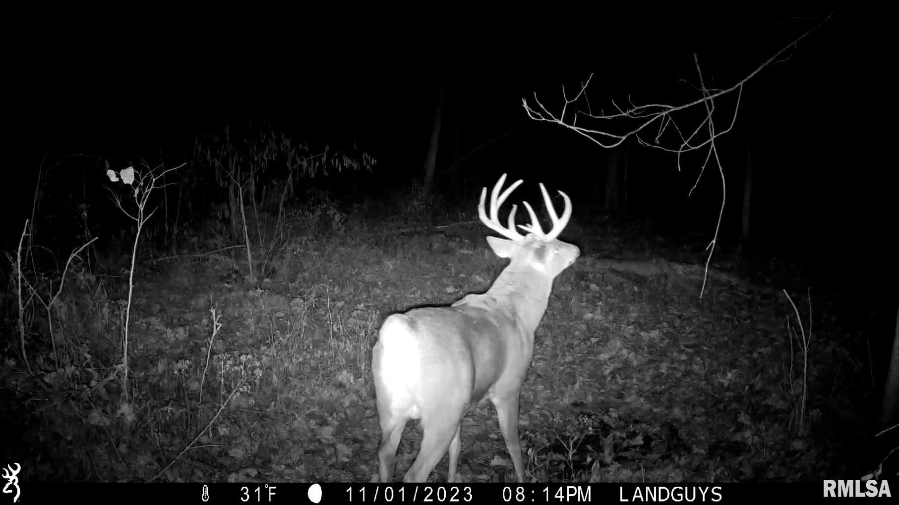 13126 West Parks School Road Princeville, IL 61559 - Photo 70 of 74 Gallery Image 70